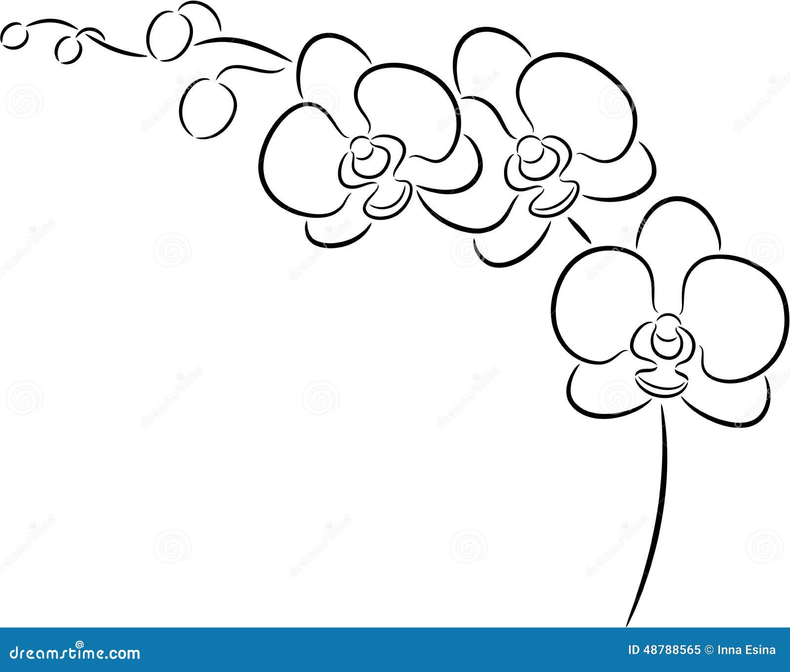 Orchid Flower Stock Vector - Image: 48788565