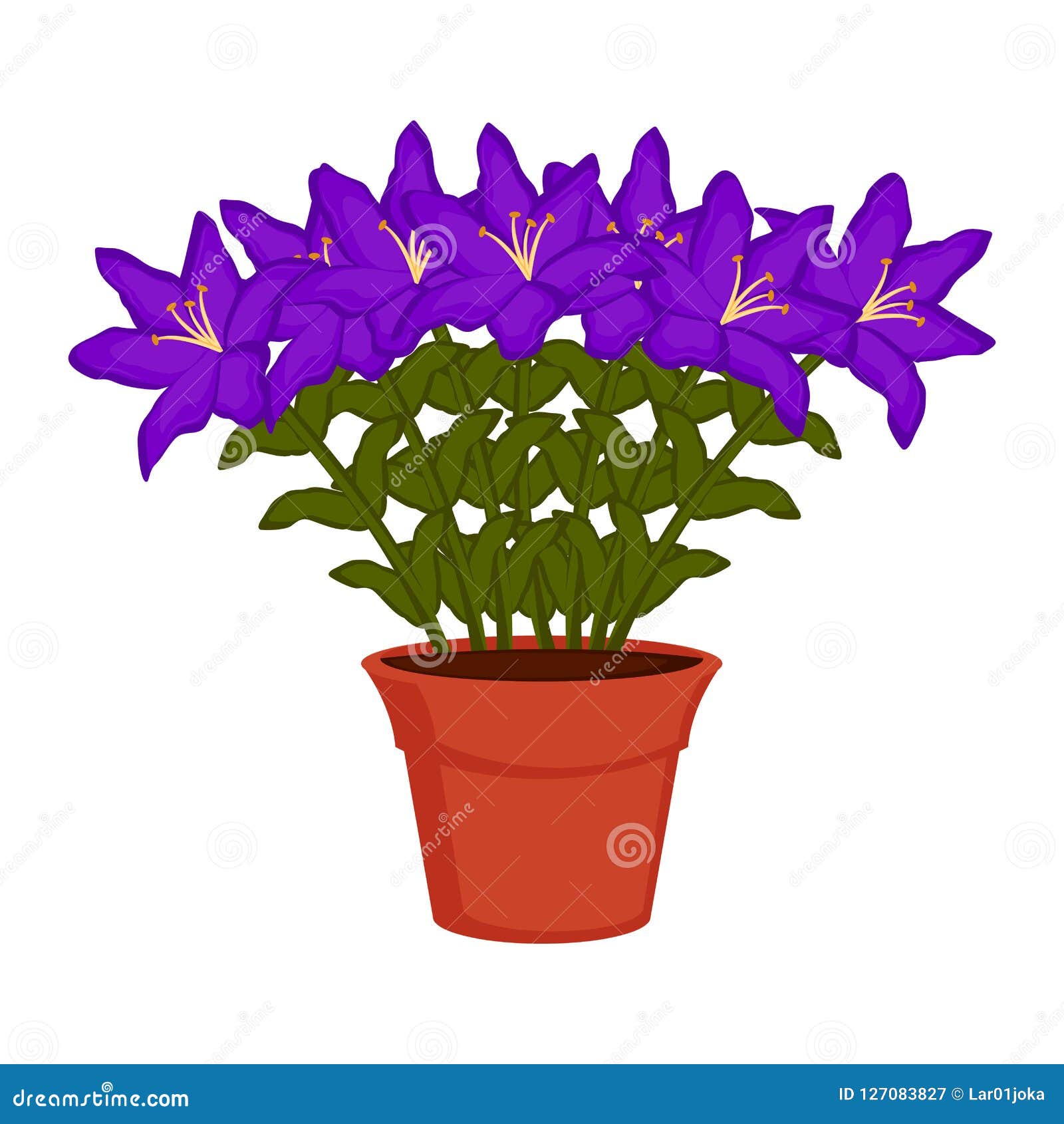 Orchid Flowers On A Flower Pot  Stock Vector Illustration  