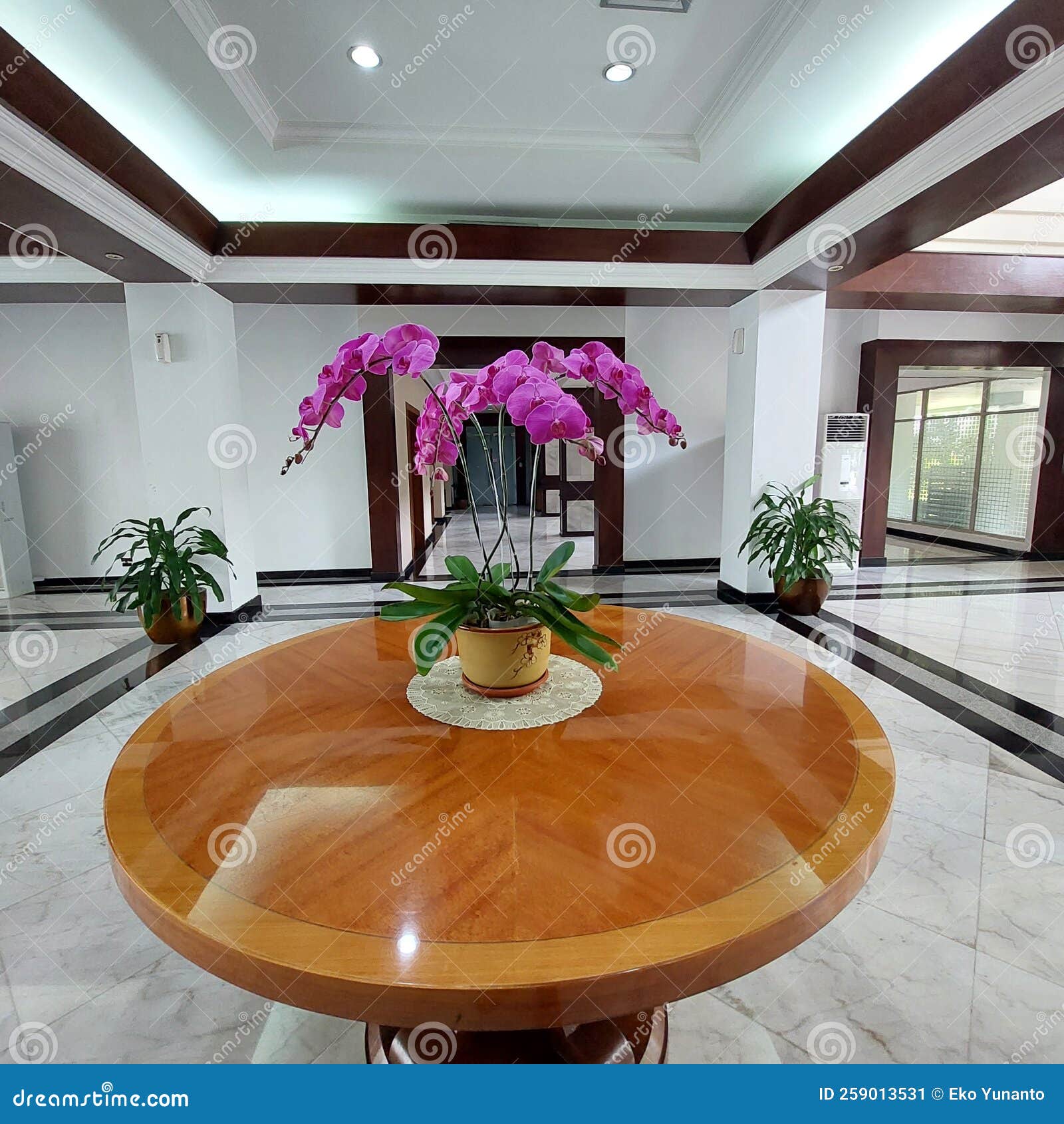 Orchid Flowers in Pots that are Neatly Installed in the Office Stock