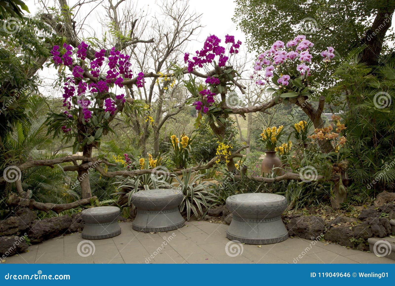 Orchid Garden Arrangment In Qingxiu Mountain Nanning Stock Photo