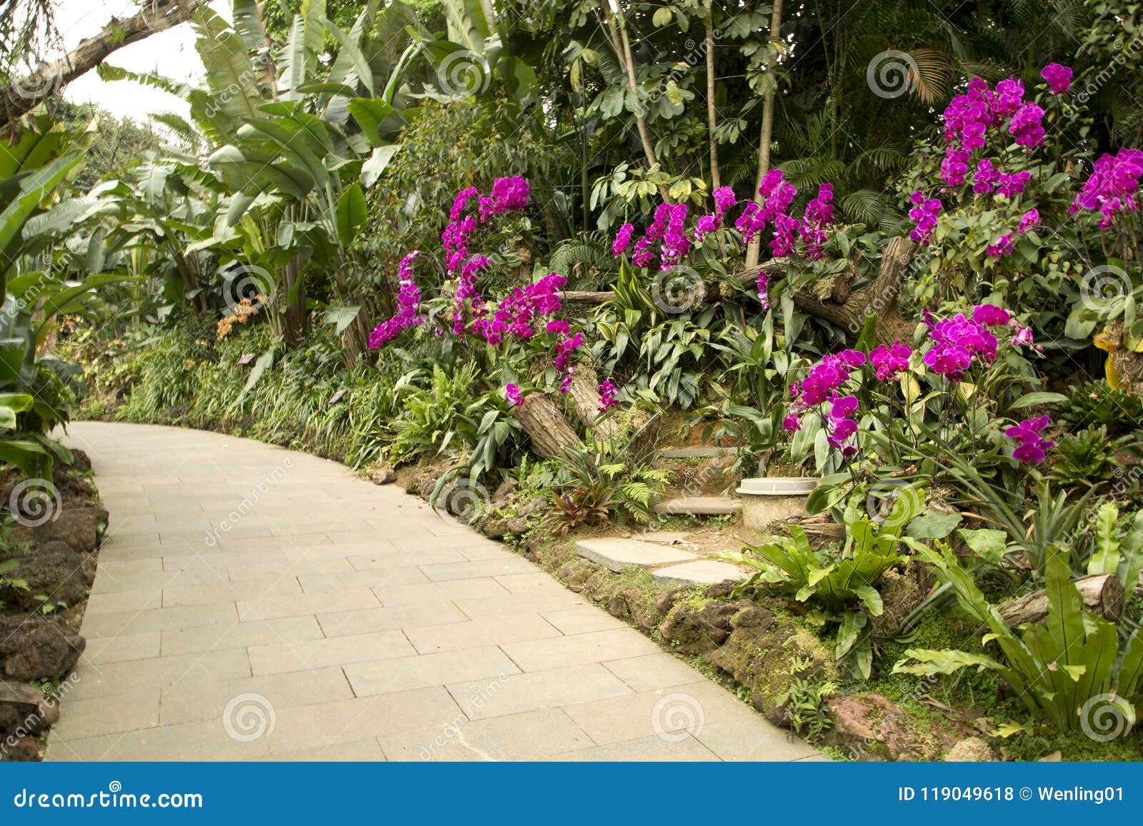 Orchid Garden In Nanning Qingxiu Mountain Stock Photo Image Of