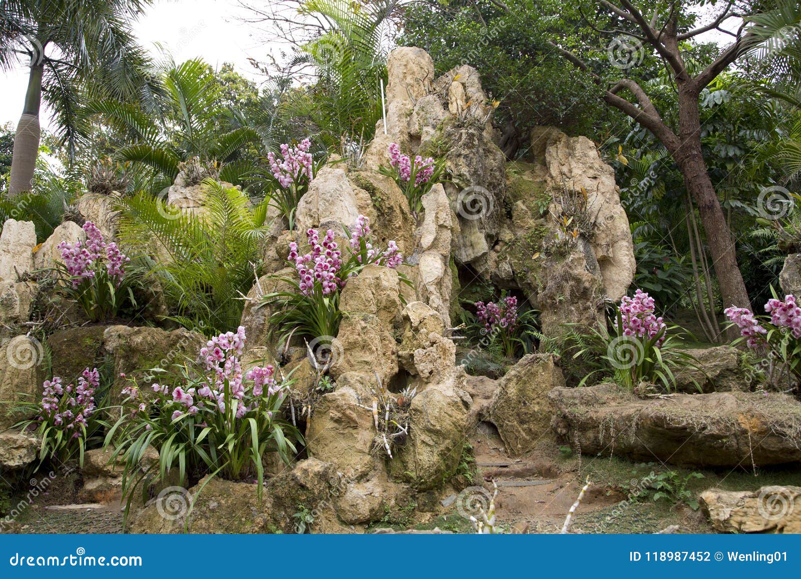 Orchid Garden In Nanning Qingxiu Mountain View Stock Photo Image