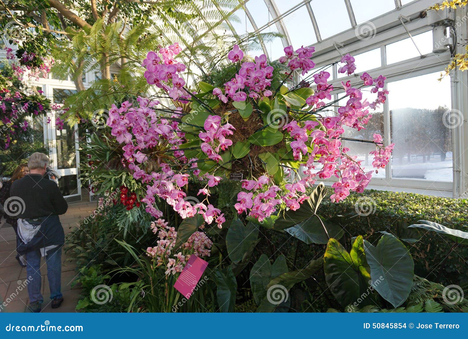 The 2015 Orchid Show Chandeliers 180 Editorial Stock Image