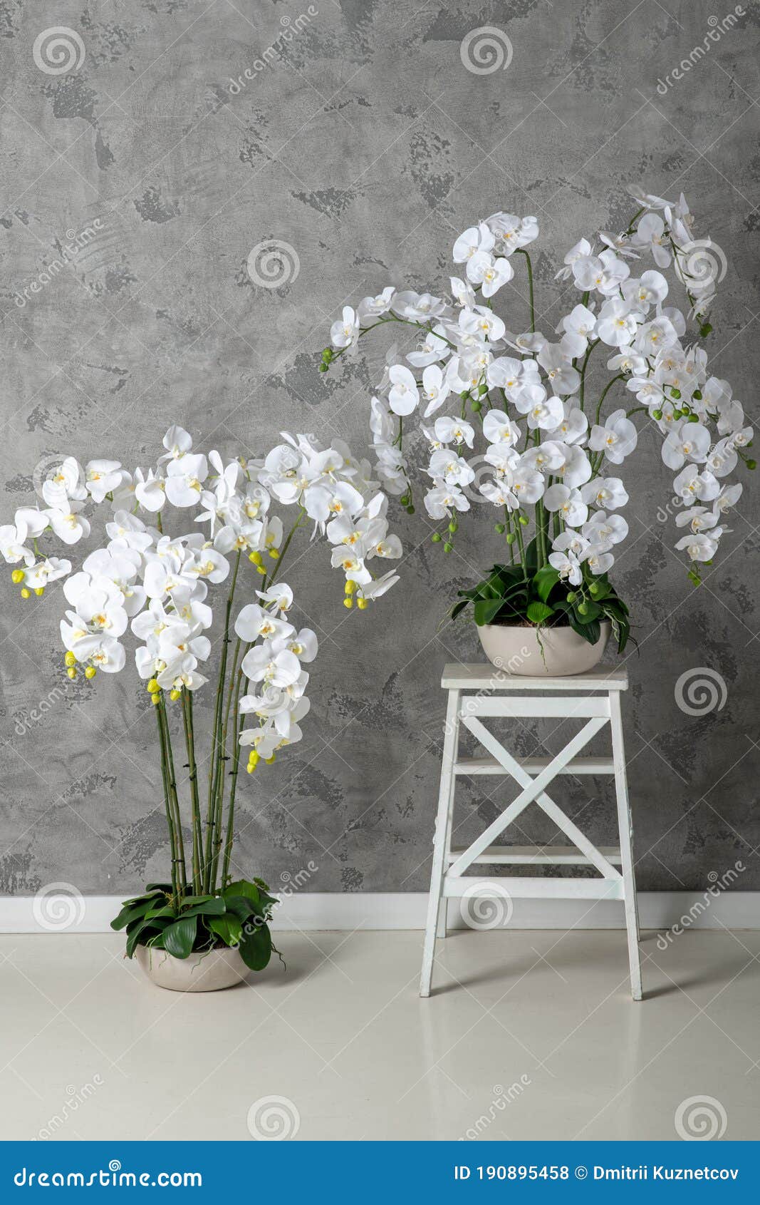 Orchidea Artificiale, Come Una Decorazione Ecologica Moderna E Sempreverde  Per Interni Fotografia Stock - Immagine di decorazione, interiori: 190895458