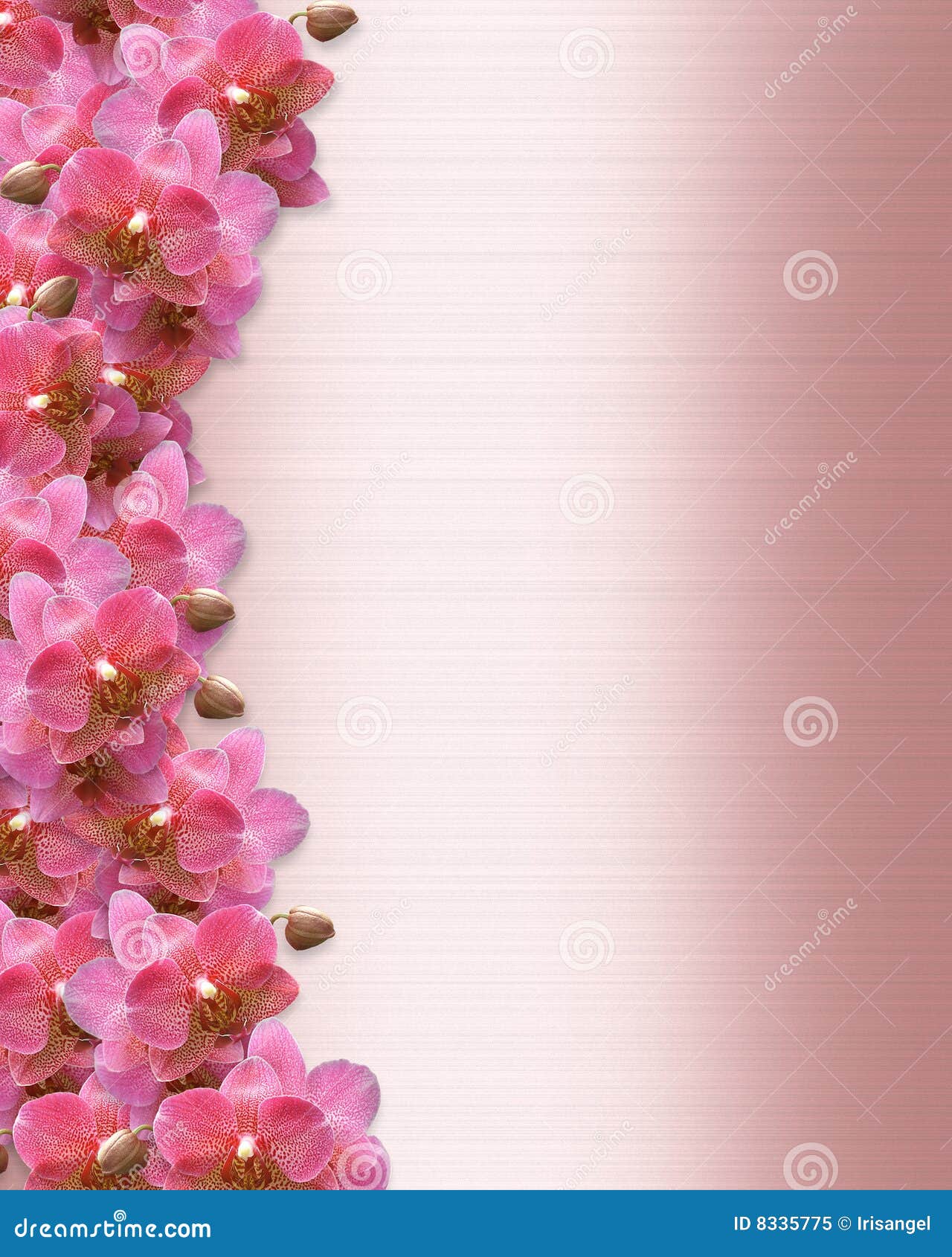 orchidee rand hochzeits einladung 8335775