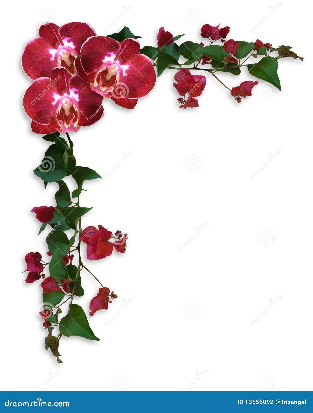 Orchids And Bougainvillea Red Floral Border Stock Illustration