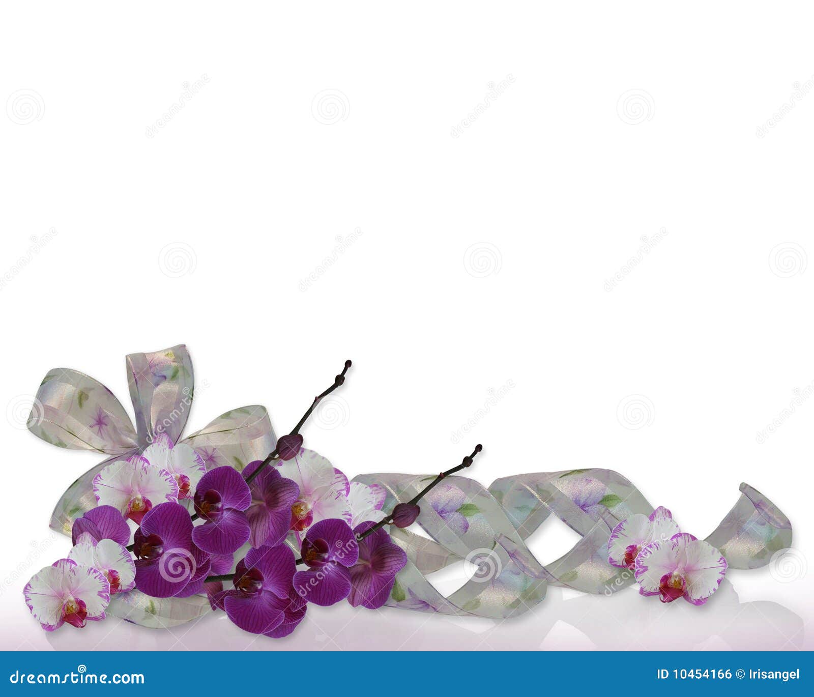 Orchids and ribbons border stock illustration. Illustration of beauty