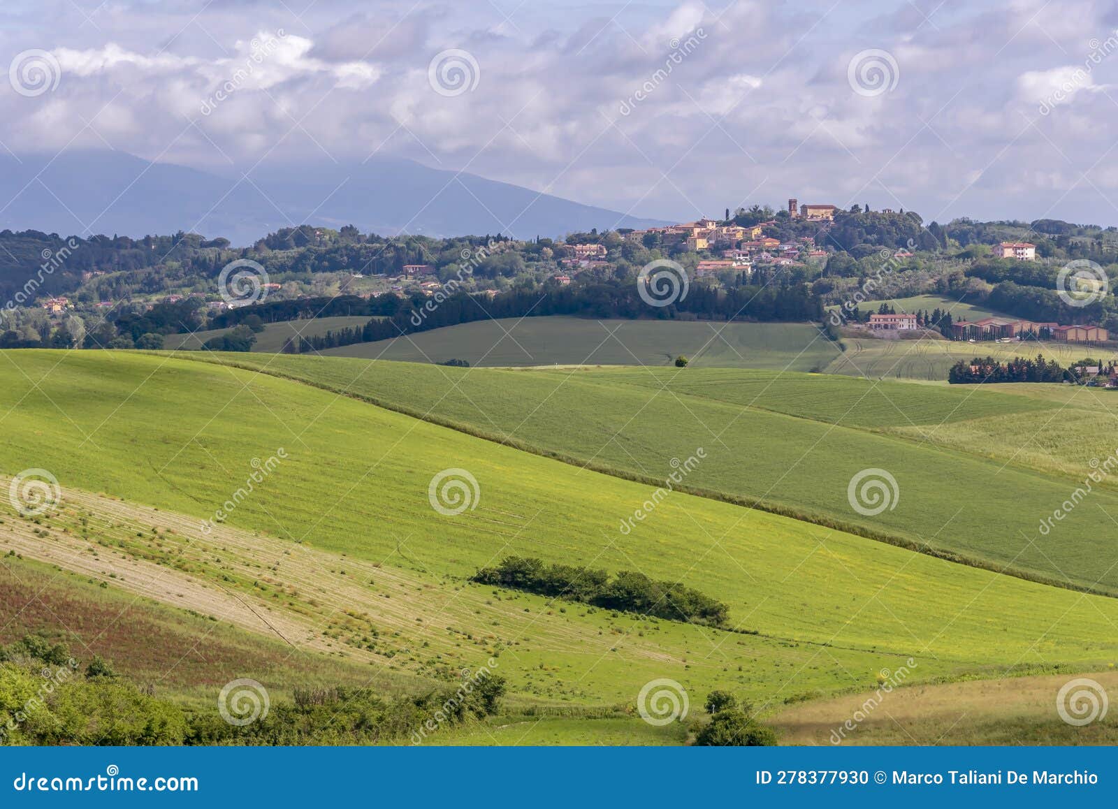 the orciano pisano countryside with lorenzana in the background, on a sunny spring day, pisa, italy