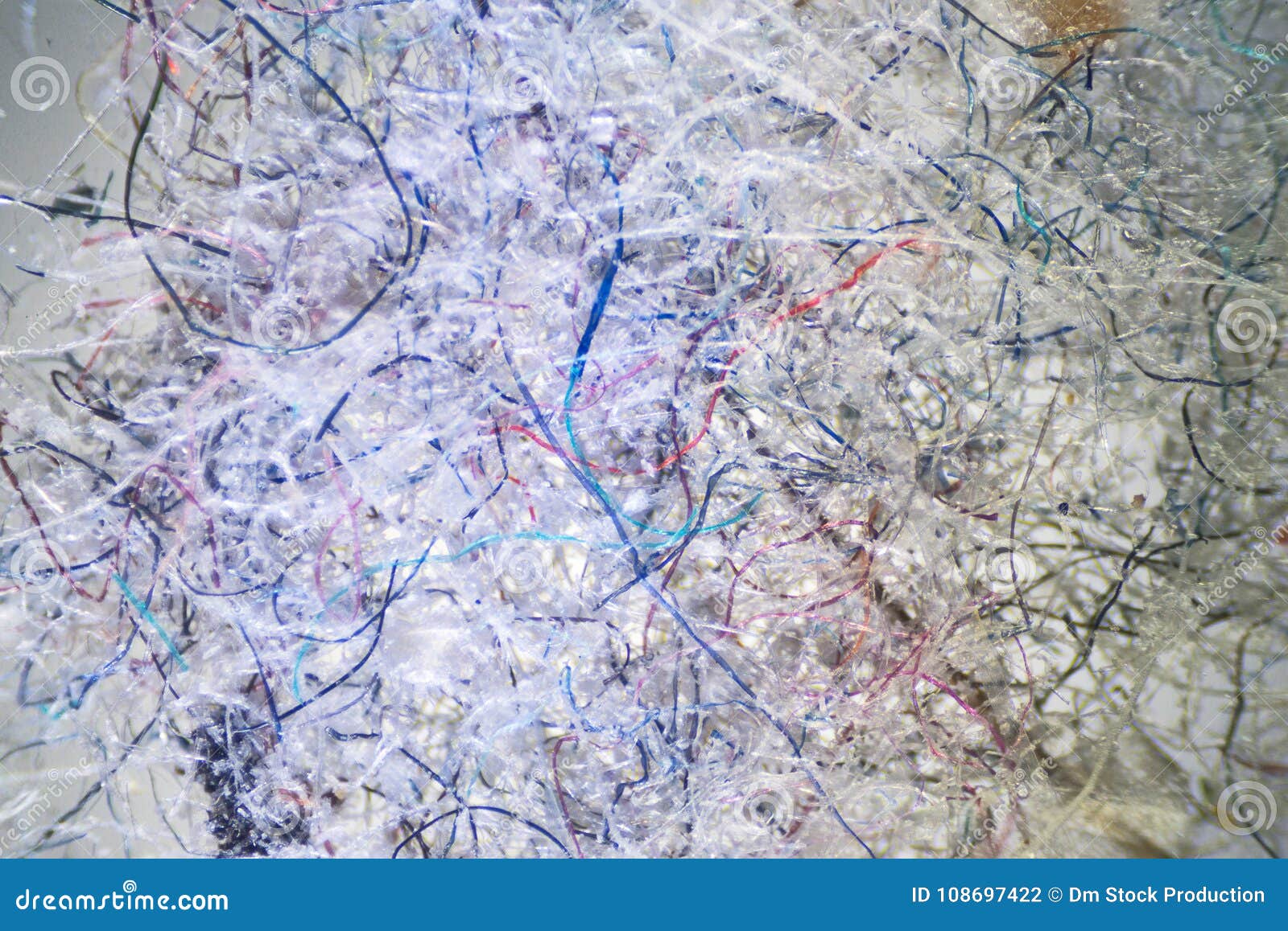 Ordinary House Dust Under The Microscope Stock Photo Image Of Dirt Cleaning