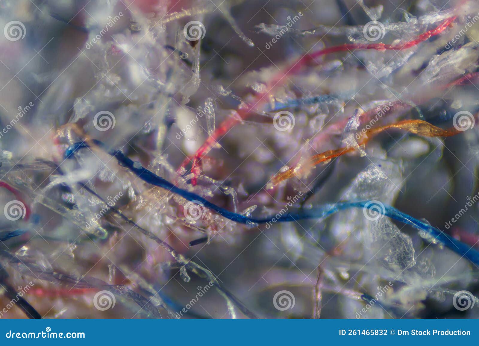 Ordinary House Dust Under the Microscope Stock Photo Image of hygiene, dirty 261465832