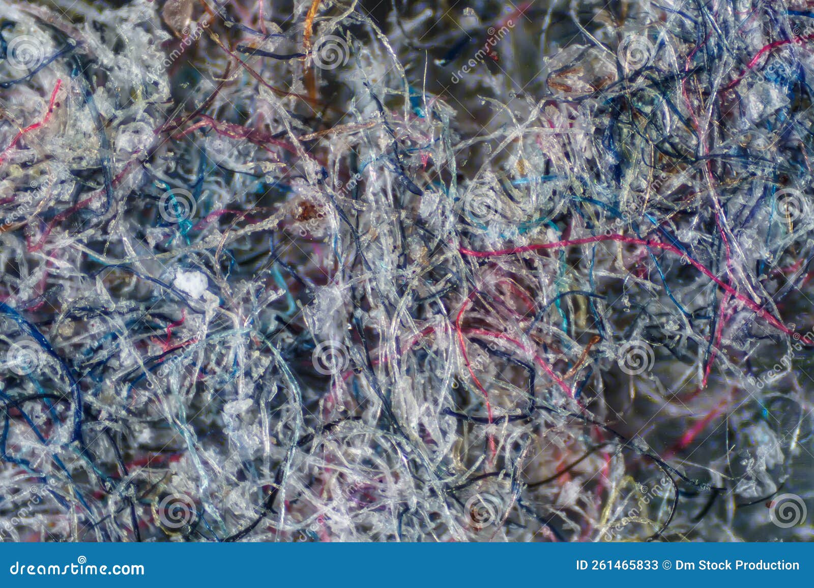 Ordinary House Dust Under the Microscope Stock Image Image of close, disease 261465833