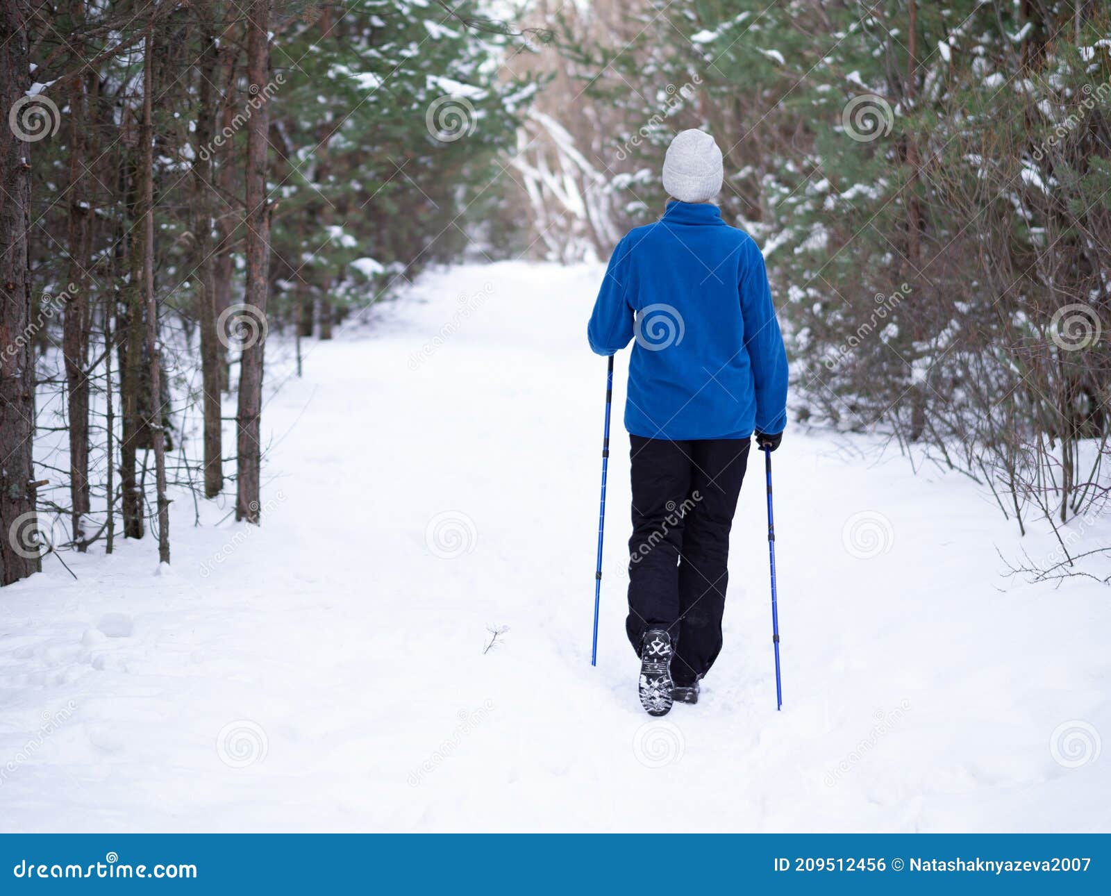 Ordinary Woman in Blue Warm Sportwear Does Nordic Walking on the Snow ...