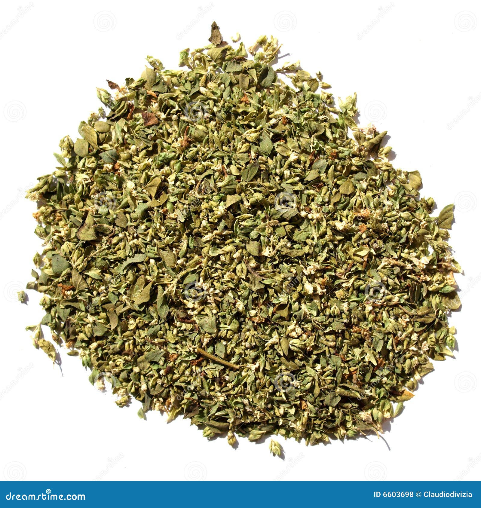 Oregano stock photo. Image of food, greek, origanum, italian 6603698