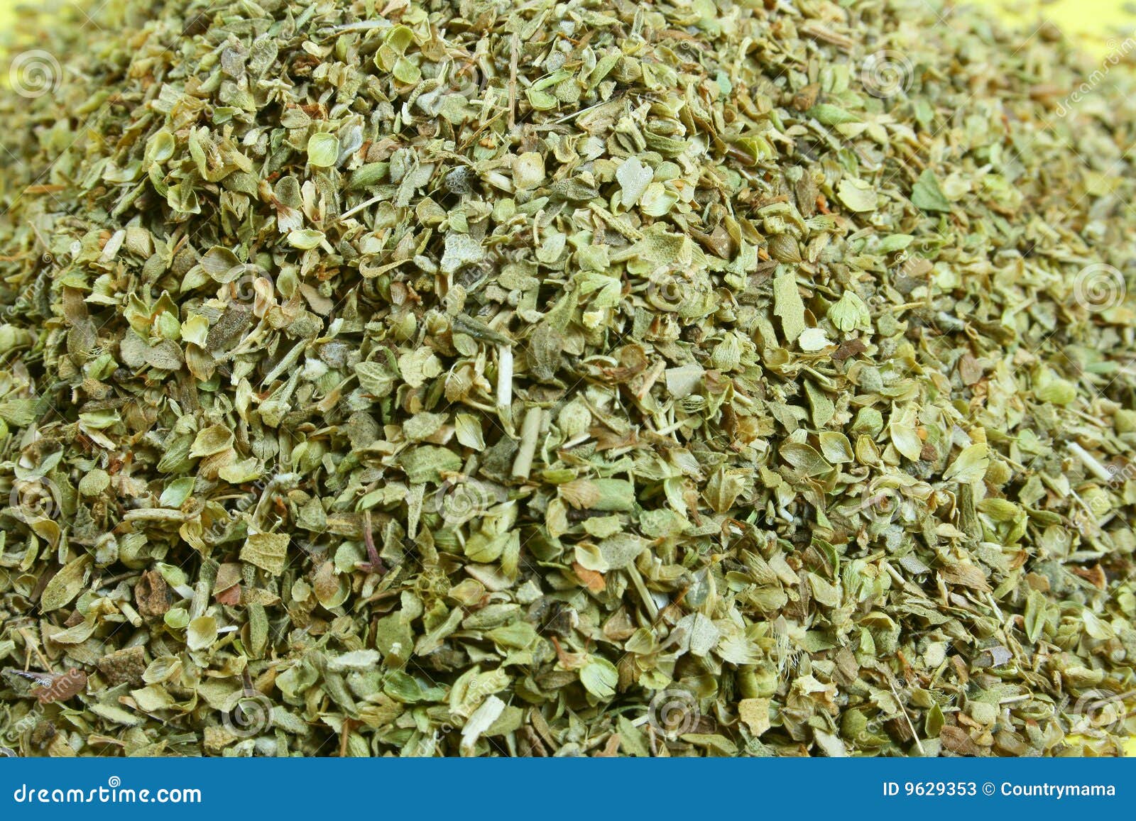 Oregano stock image. Image of dried, seasoning, green ...