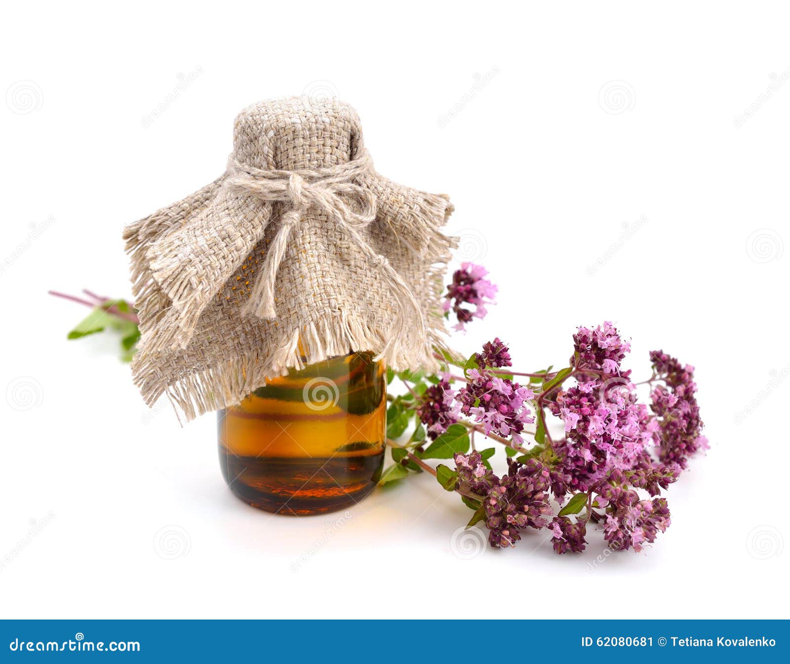 Oregano Flowers with Pharmaceutical Bottle. Stock Image Image of color, oregano 62080681