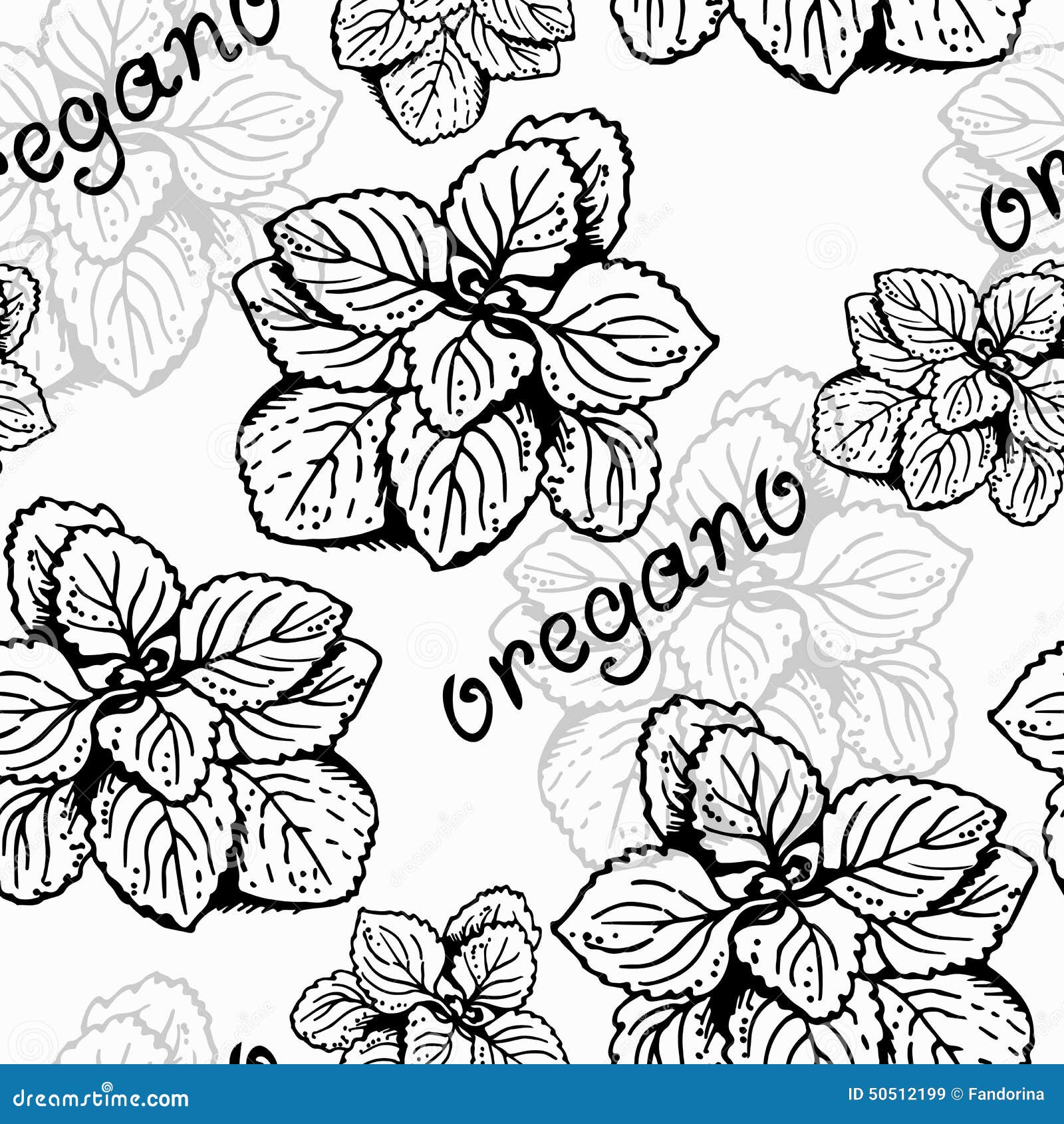 Oregano herb pattern stock vector. Illustration of background 50512199