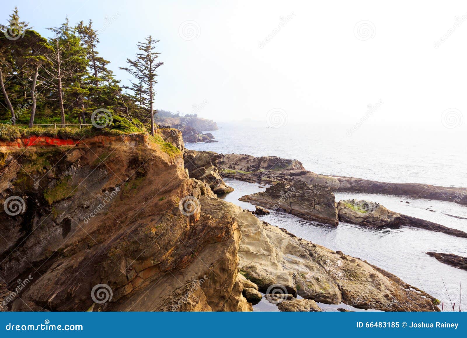 Oregon Coast Rocks and Ocean Stock Image Image of natural, acres
