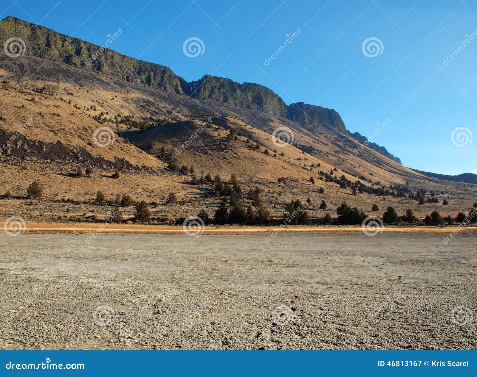 Oregon Mesa stock image. Image of desert, alkali, alkalilake 46813167