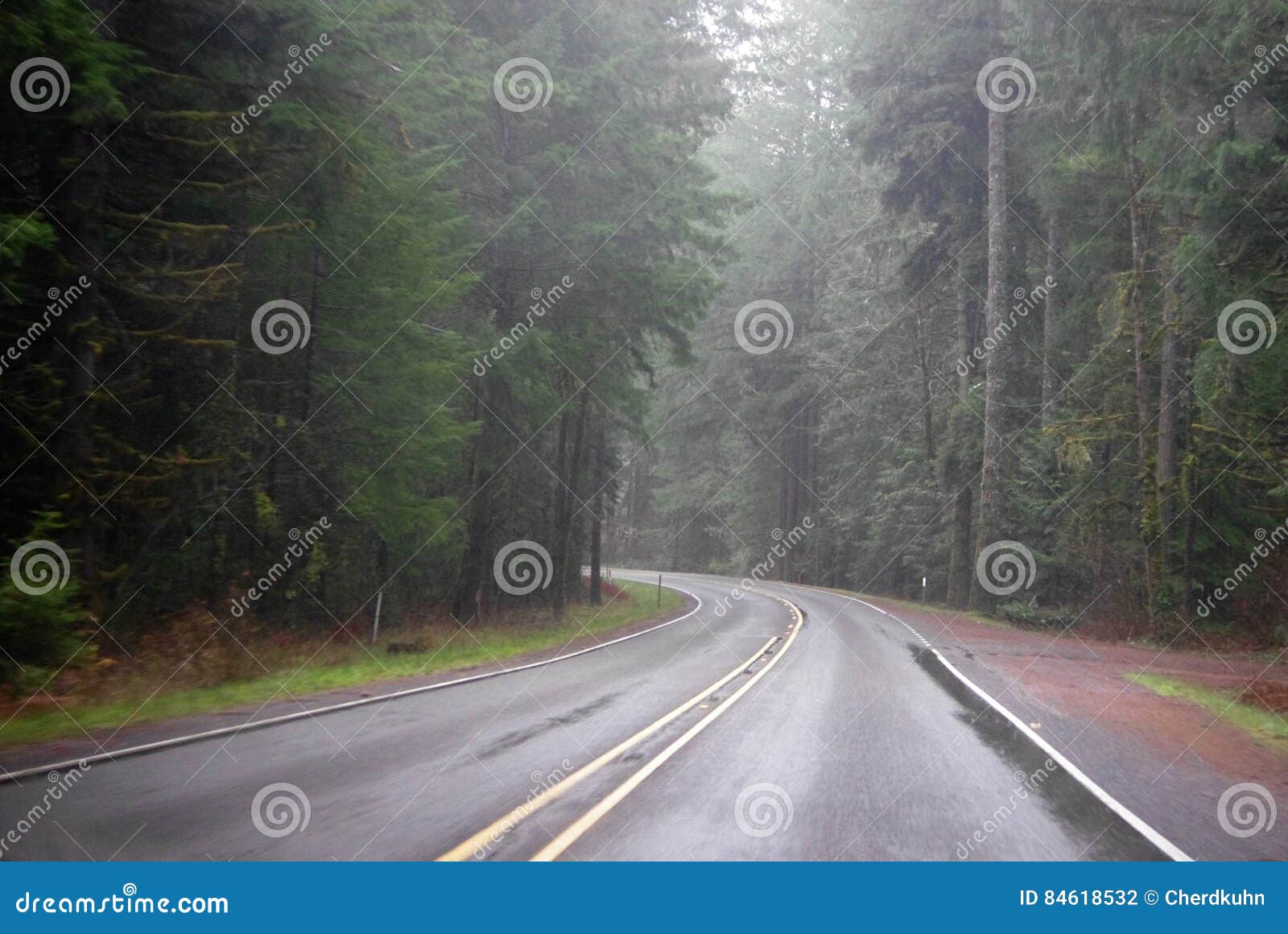 Oregon Mist stock photo. Image of clouds, inversion, cascades 84618532