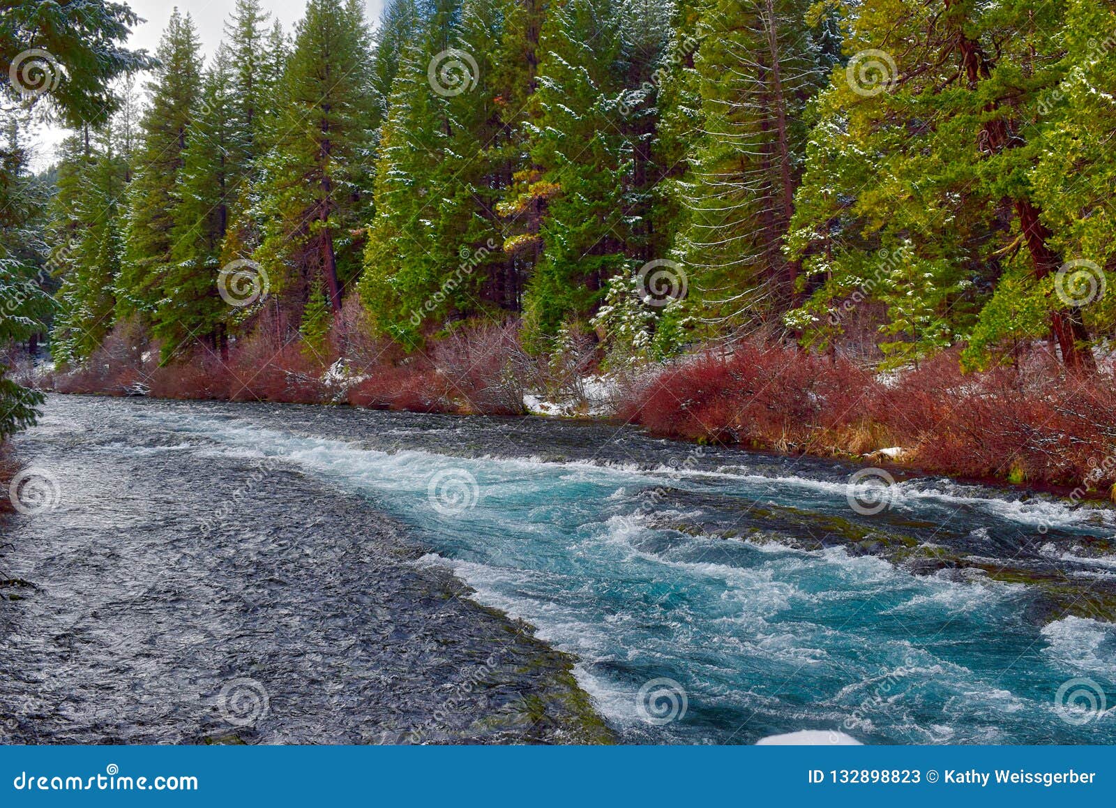 Metolius River in Winter. stock image. Image of winter - 132898823