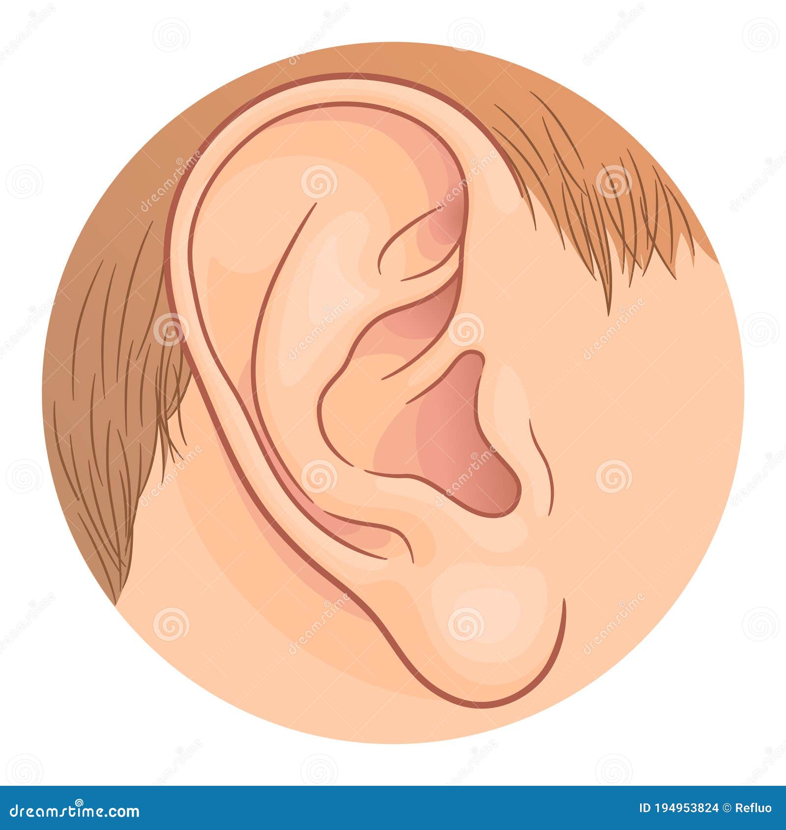 Oreja humana en círculo ilustración del vector. Ilustración de audio - 194953824 Oreja humana en círculo ilustración del vector. Ilustración de audio - 194953824