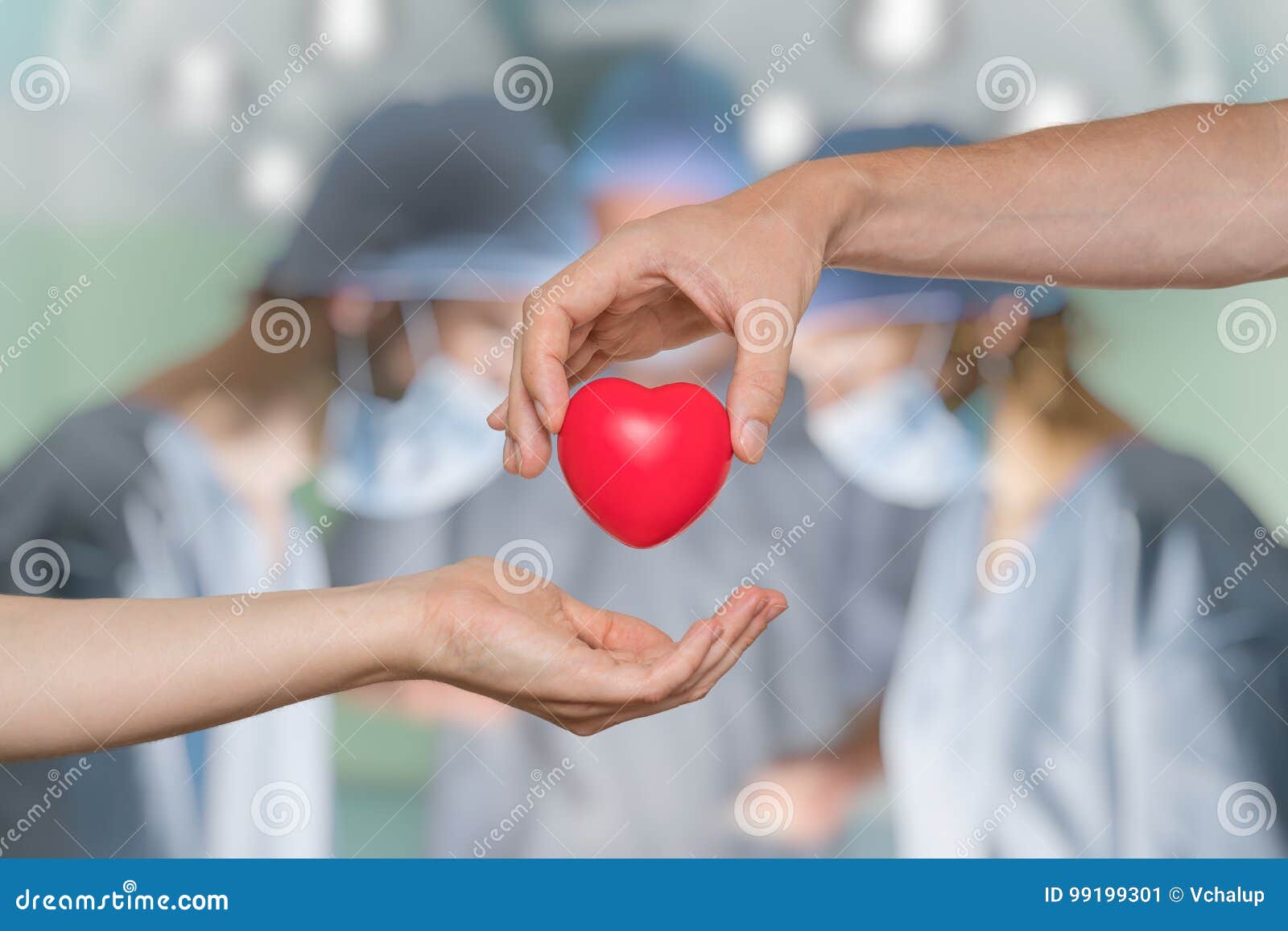 organ donation concept. hand giving heart.