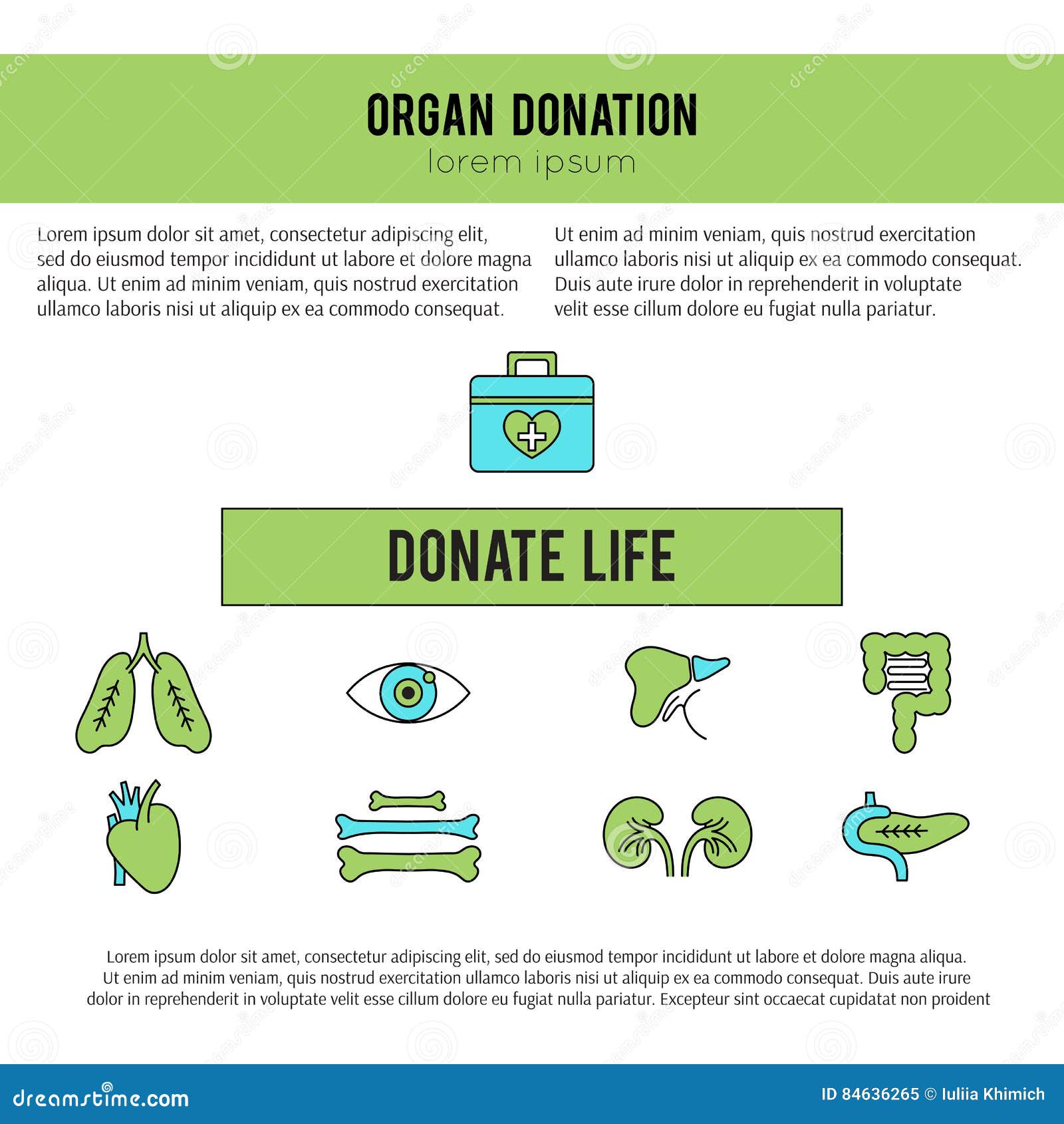 Organ Donation template stock vector. Illustration of cornea Within Organ Donor Card Template