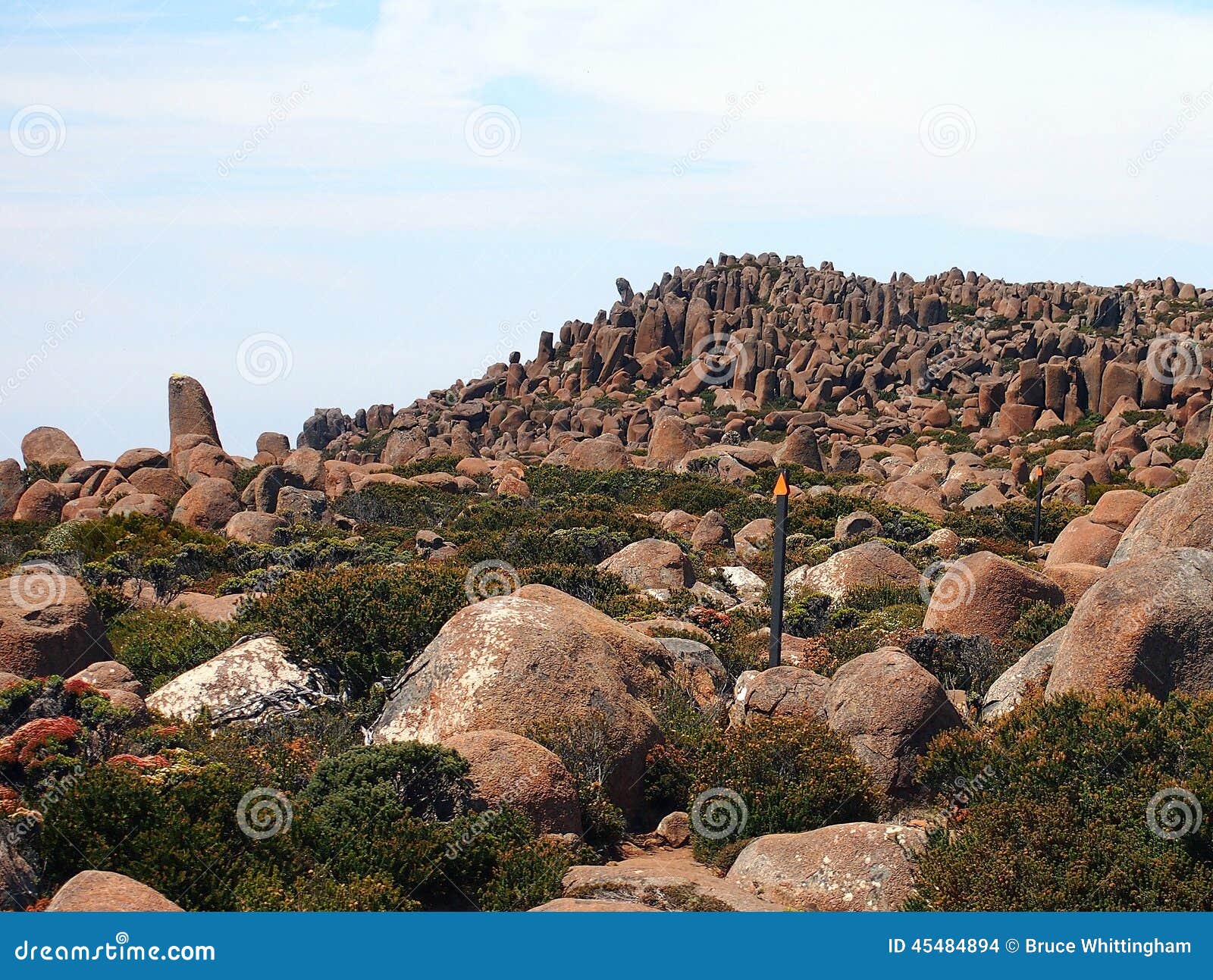 organ pipe rock formations, mount wellington