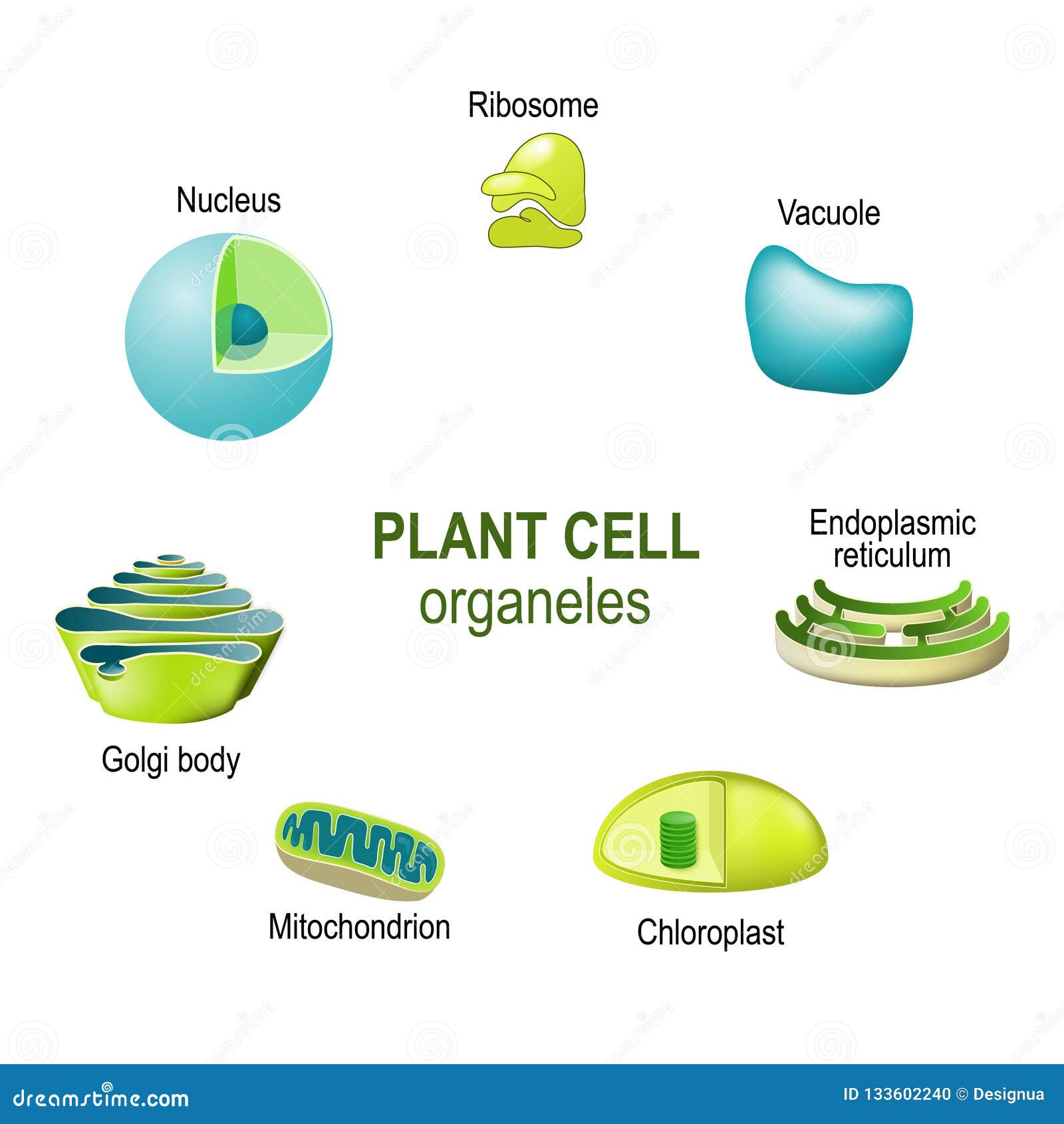 César Fuenmayor, microscopista del \, image size:1600x1690
