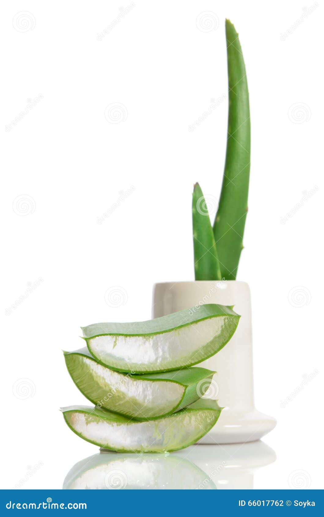 Organic aloe vera stock photo. Image of homeopathy, drop 66017762