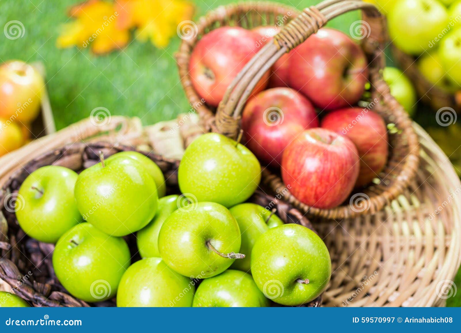 Organic apples stock image. Image of healthy, gala, leaf 59570997