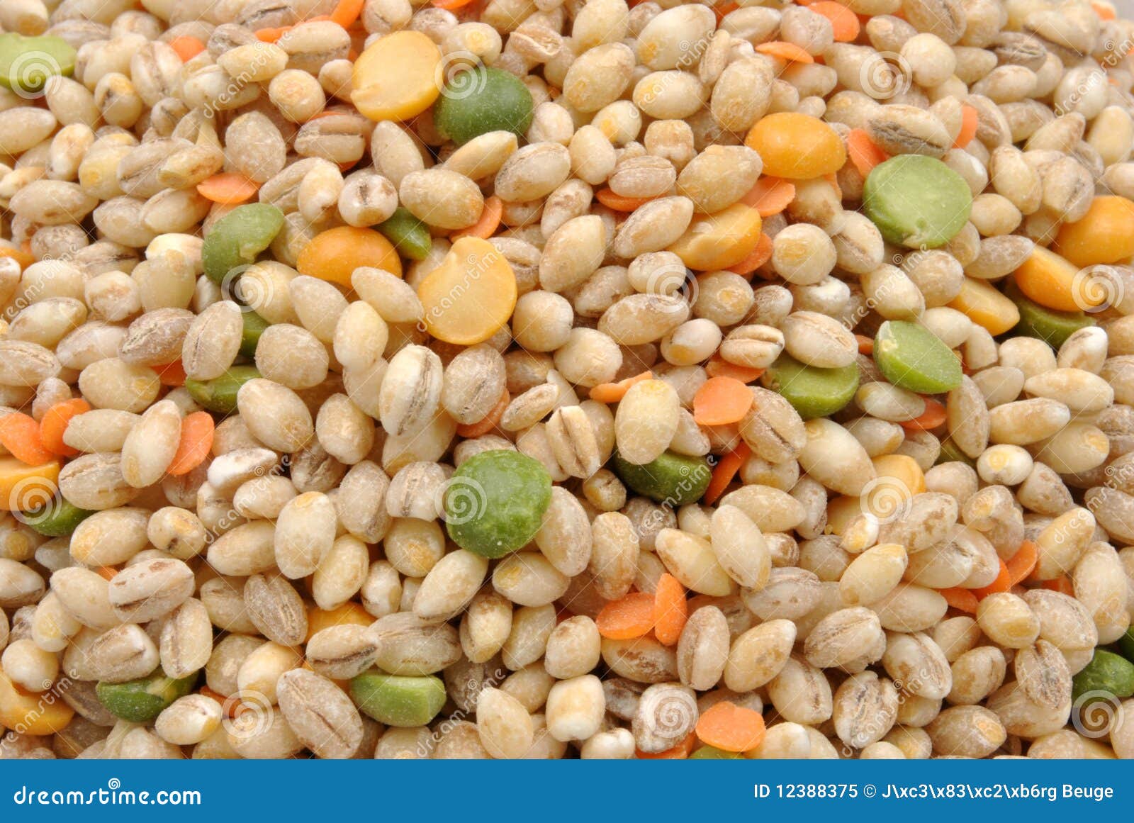 Organic Barley, Lentil, Split Pea Stock Image Image of gourmet