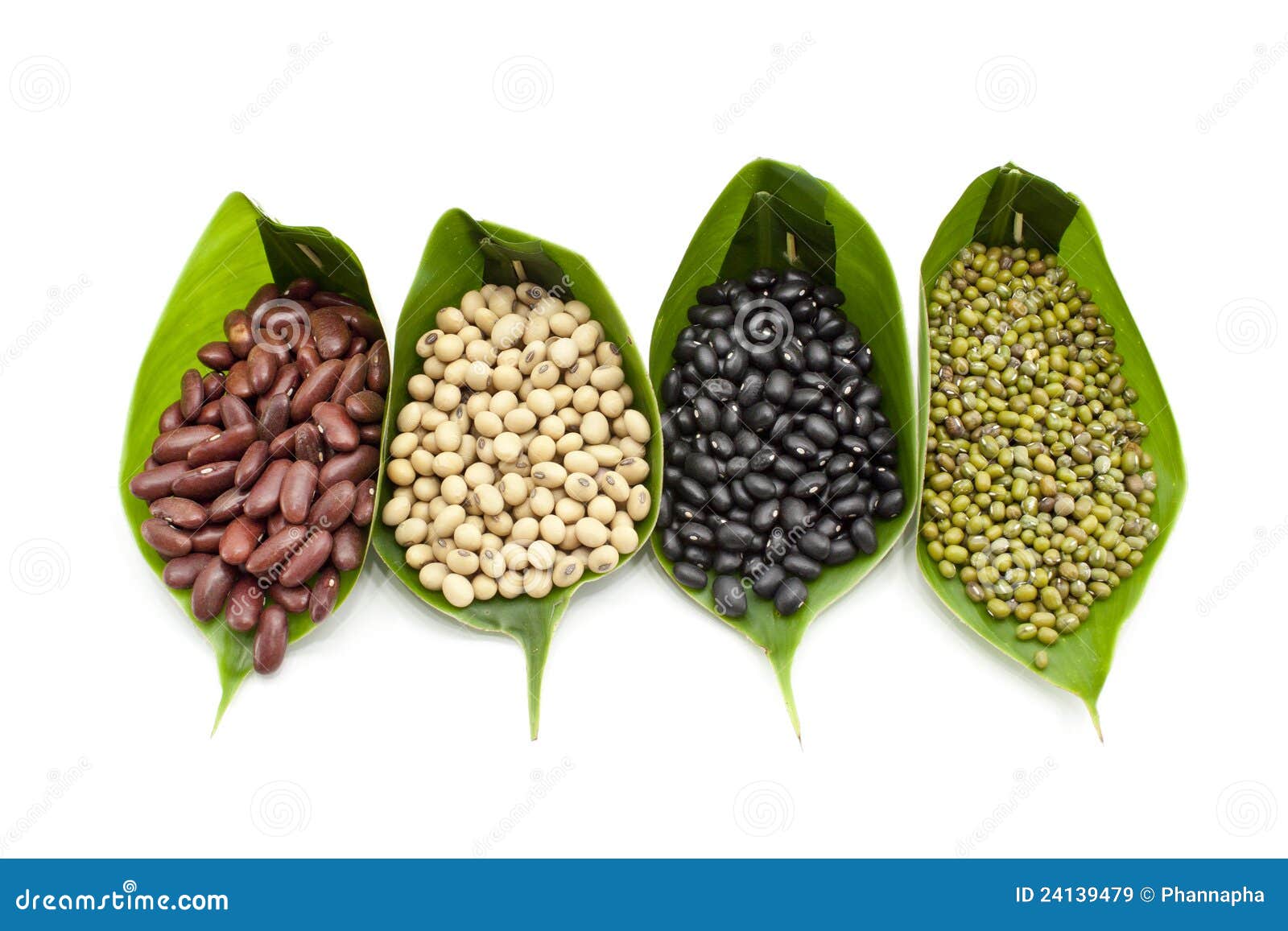 Organic beans stock image. Image of isolated, ingredient 24139479