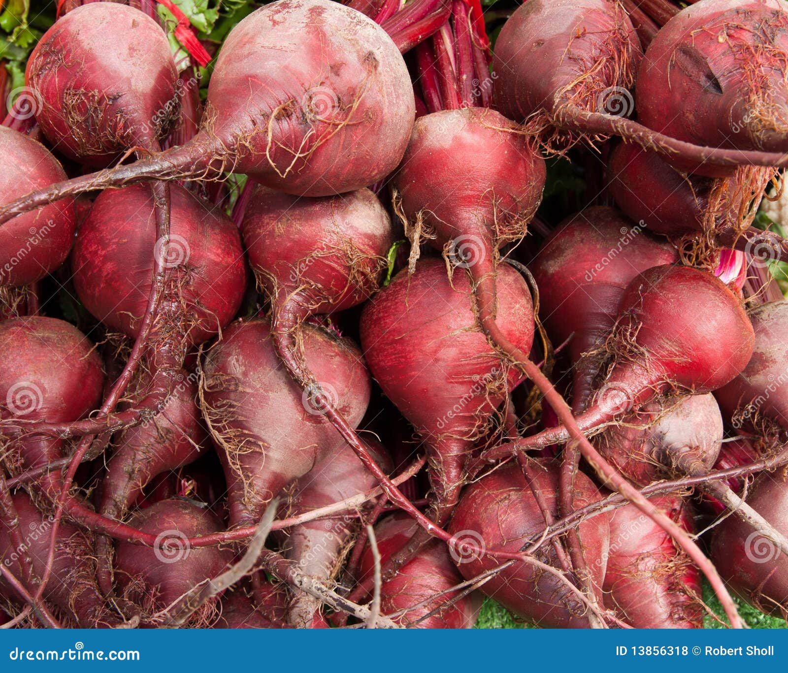 Organic Beets stock photo. Image of root, delicious, beets 13856318