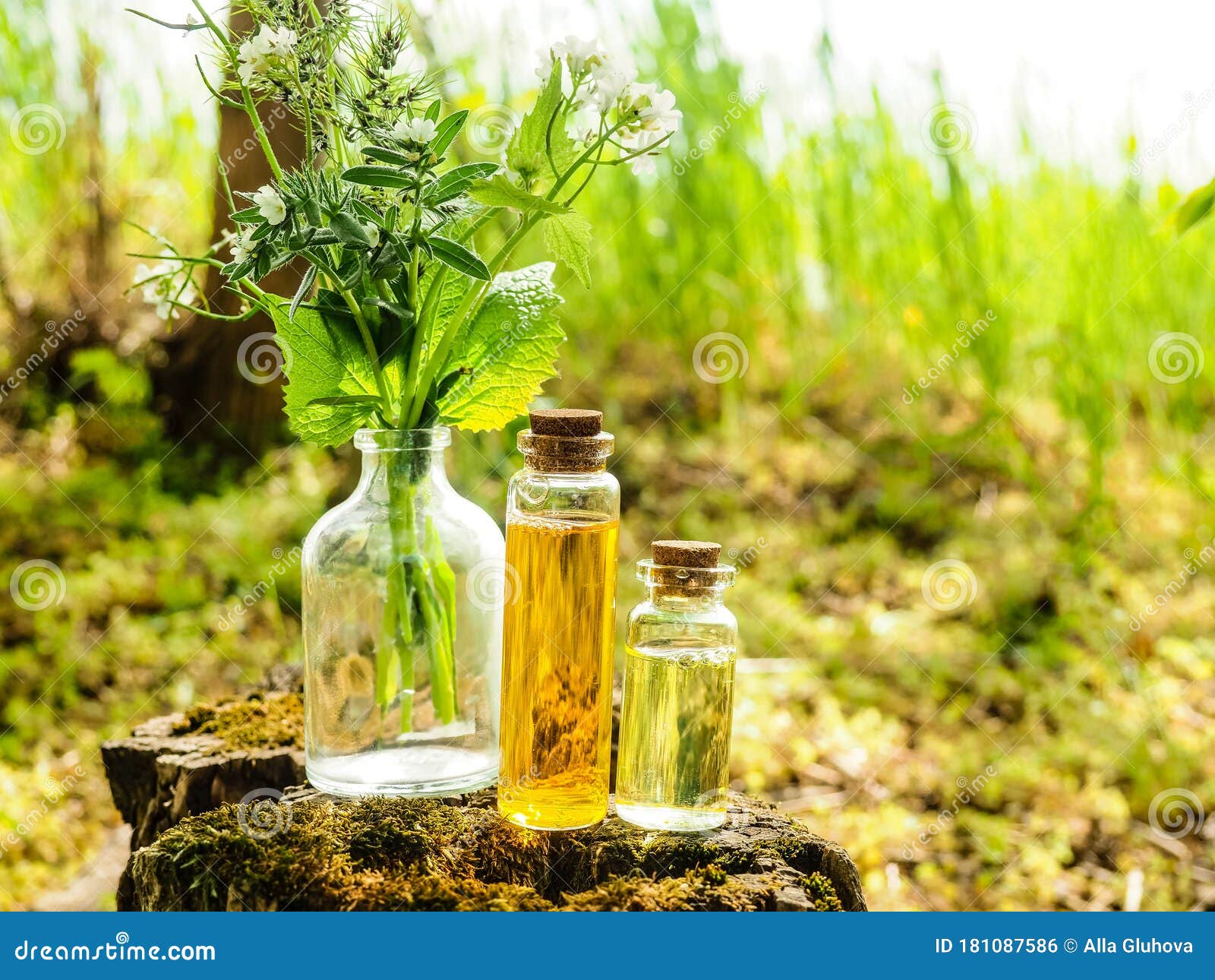 organic bio alternative medicine, herbal medicine., bottles of healthy essential oil or infusion and dry medicinal herbs