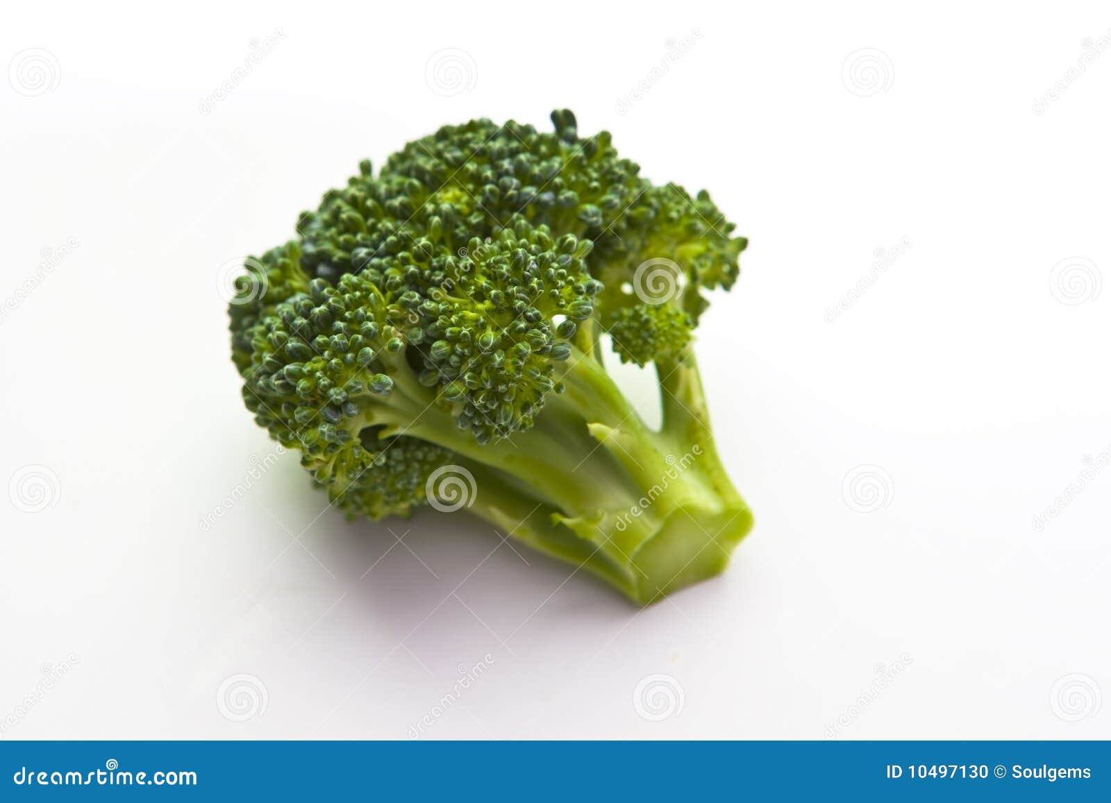 Organic Brocoli Floret Closeup Stock Photo Image of single, object
