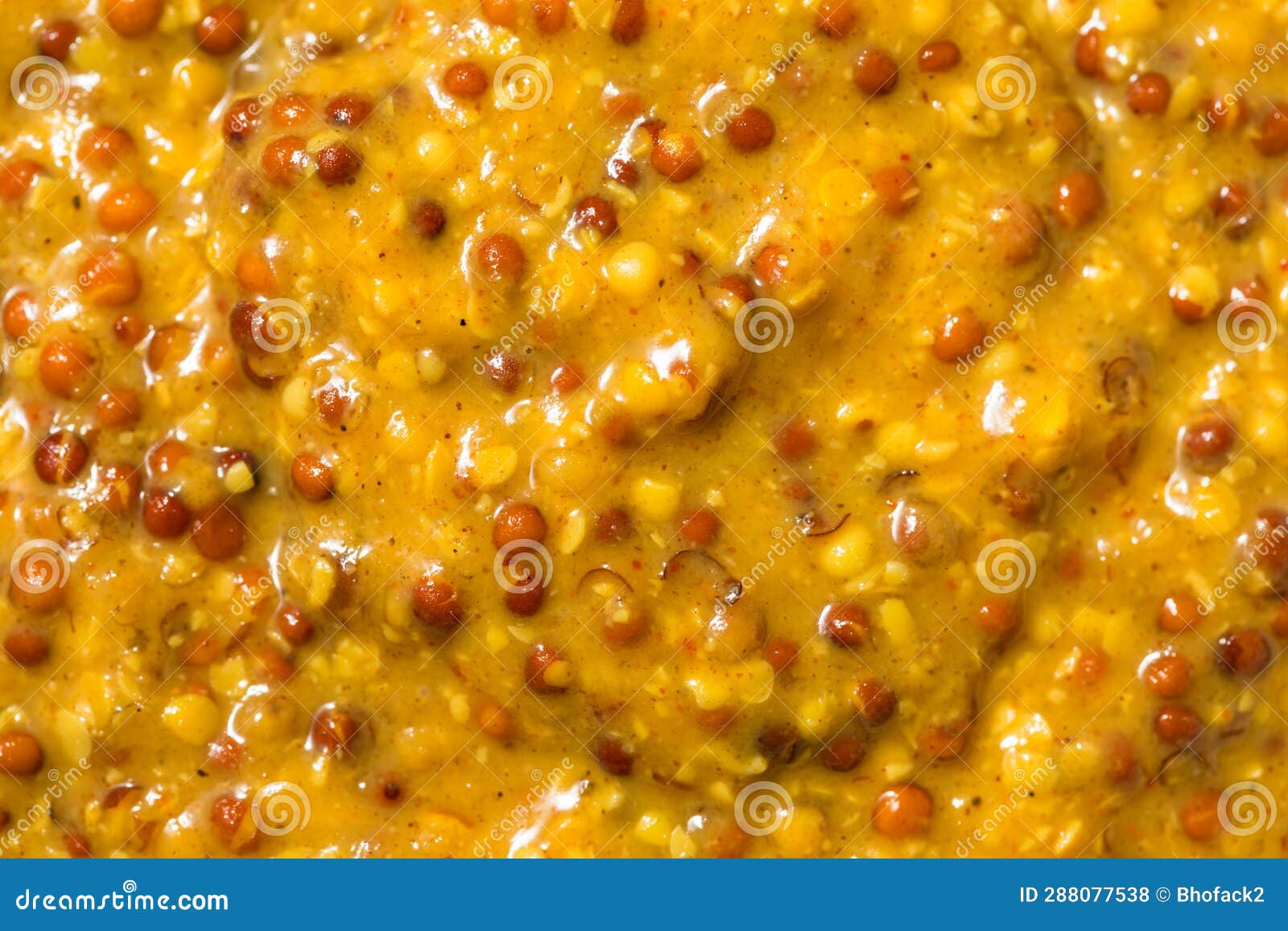 Organic Brown Spicy Grainy Mustard Stock Photo Image of savory