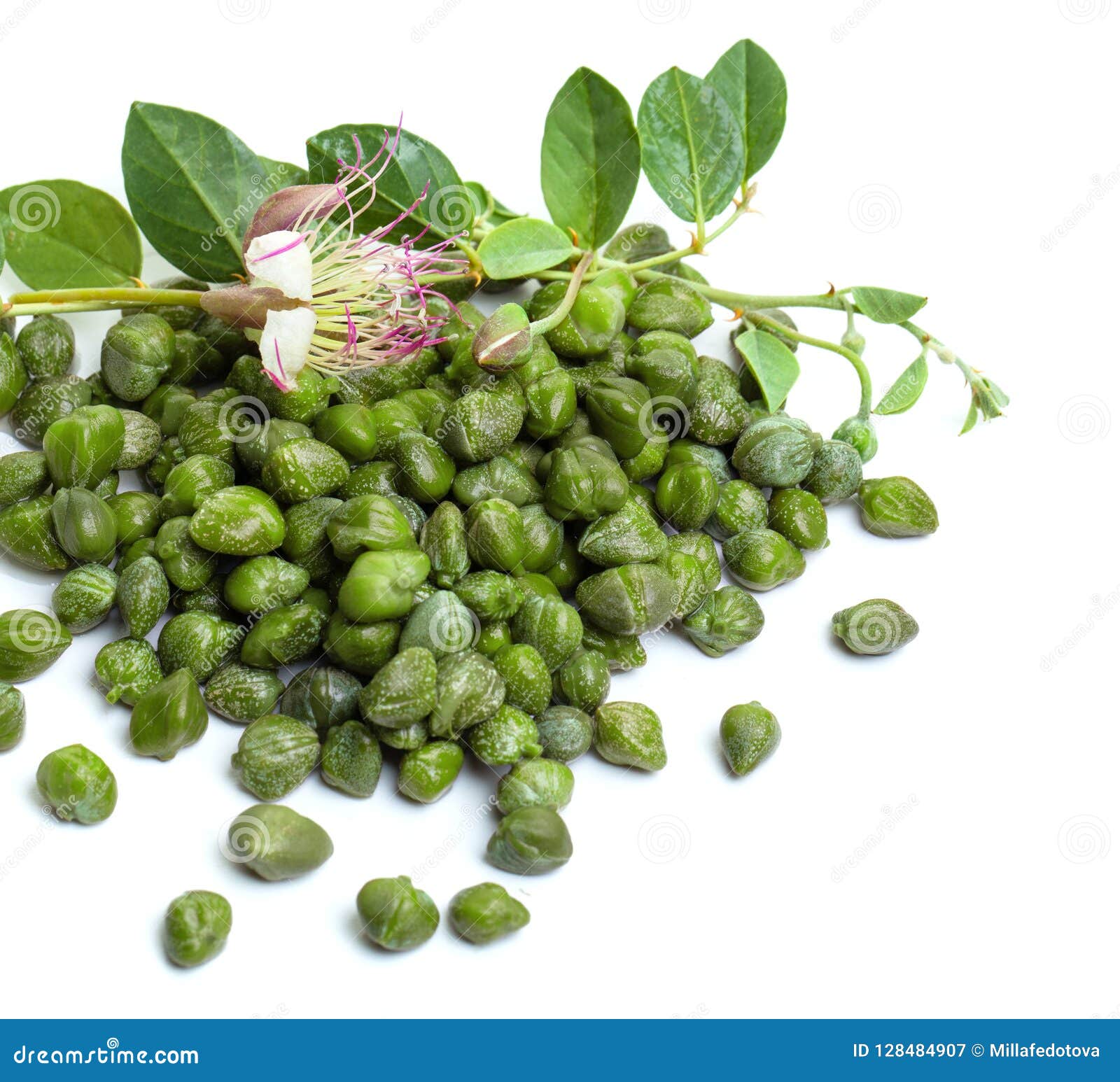 Organic Capers on White Background Stock Image Image of capers, plant