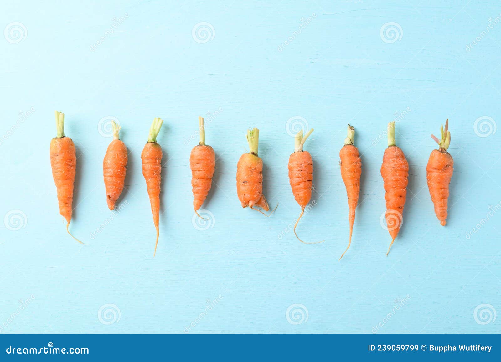 organic carrots on light blue background, imperfectly 