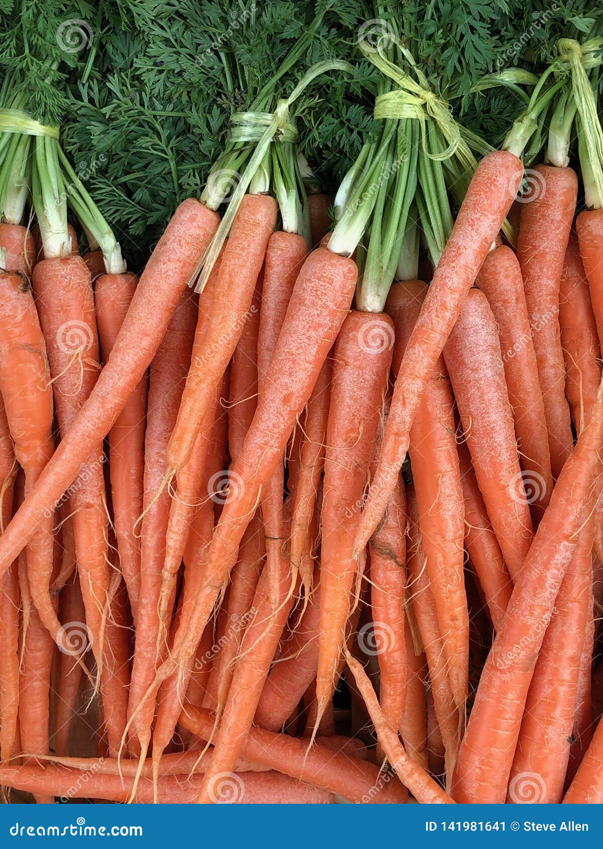 Organic Carrots for Sale at a Farmers Market Stock Image - Image of ...