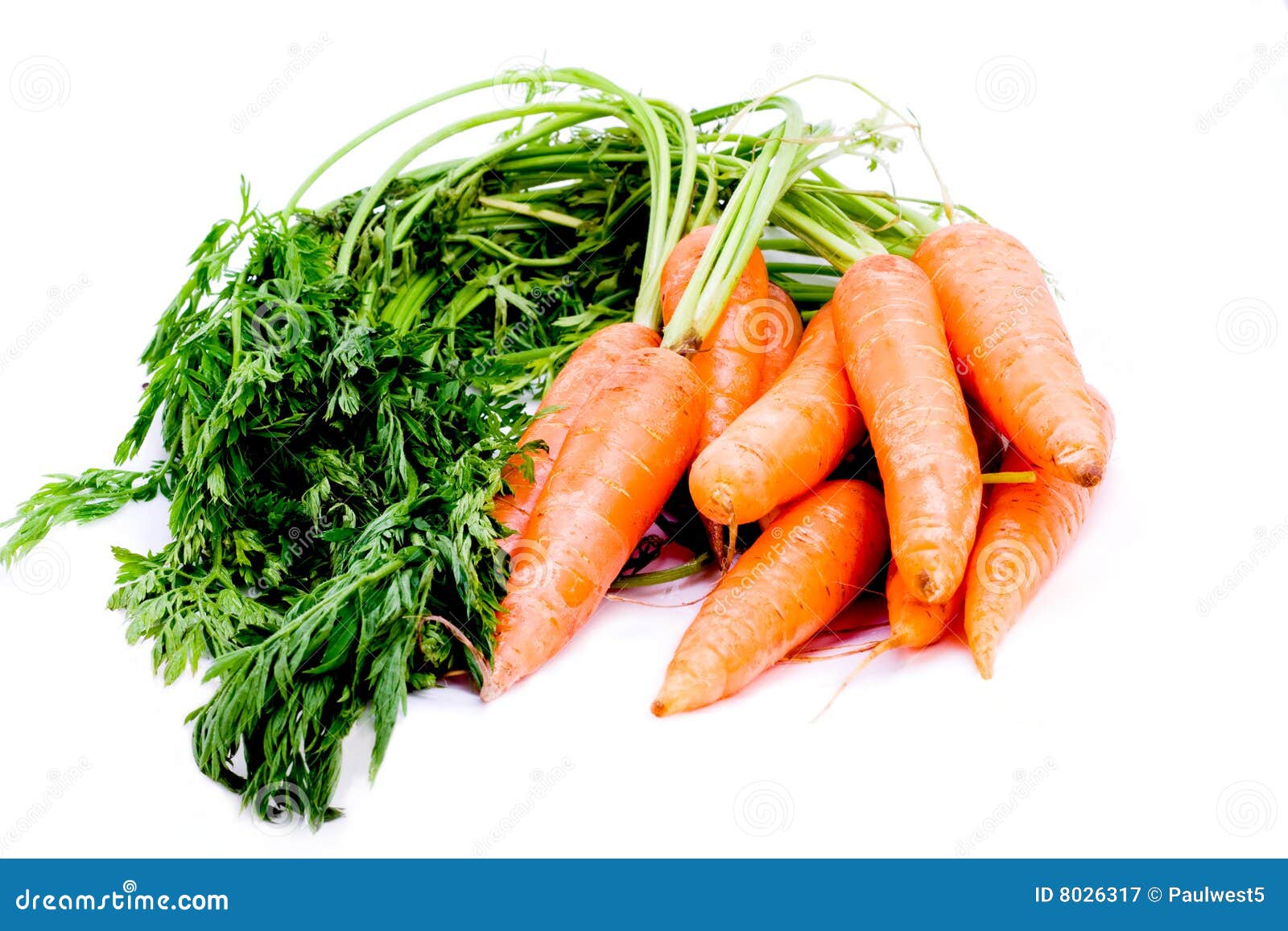 Organic carrots with stems stock image. Image of stem 8026317