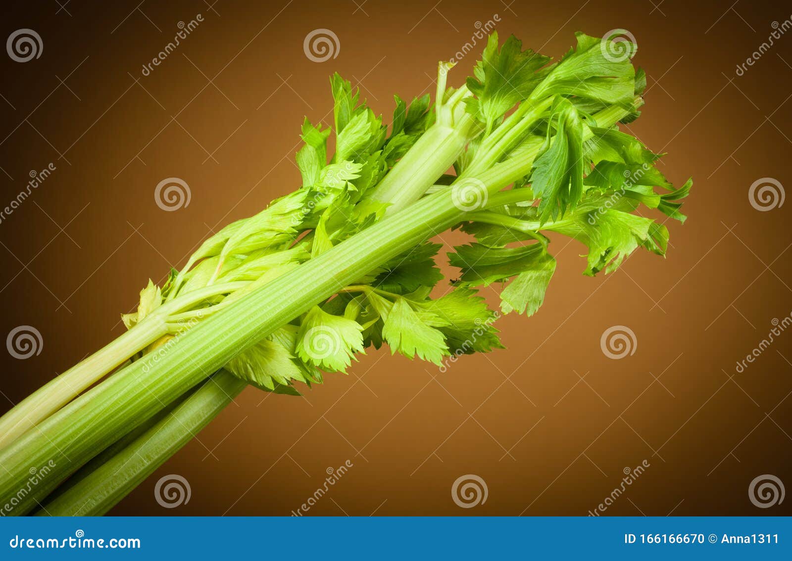 Organic Celery. Celery Stalk with Leaves Stock Photo Image of fresh
