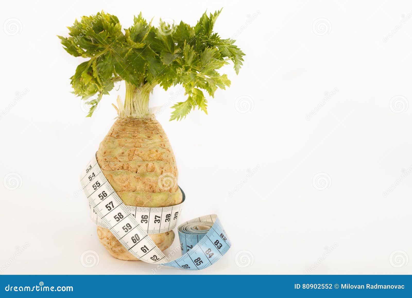 Organic Celery for Healthy Diet Stock Photo Image of celeriac