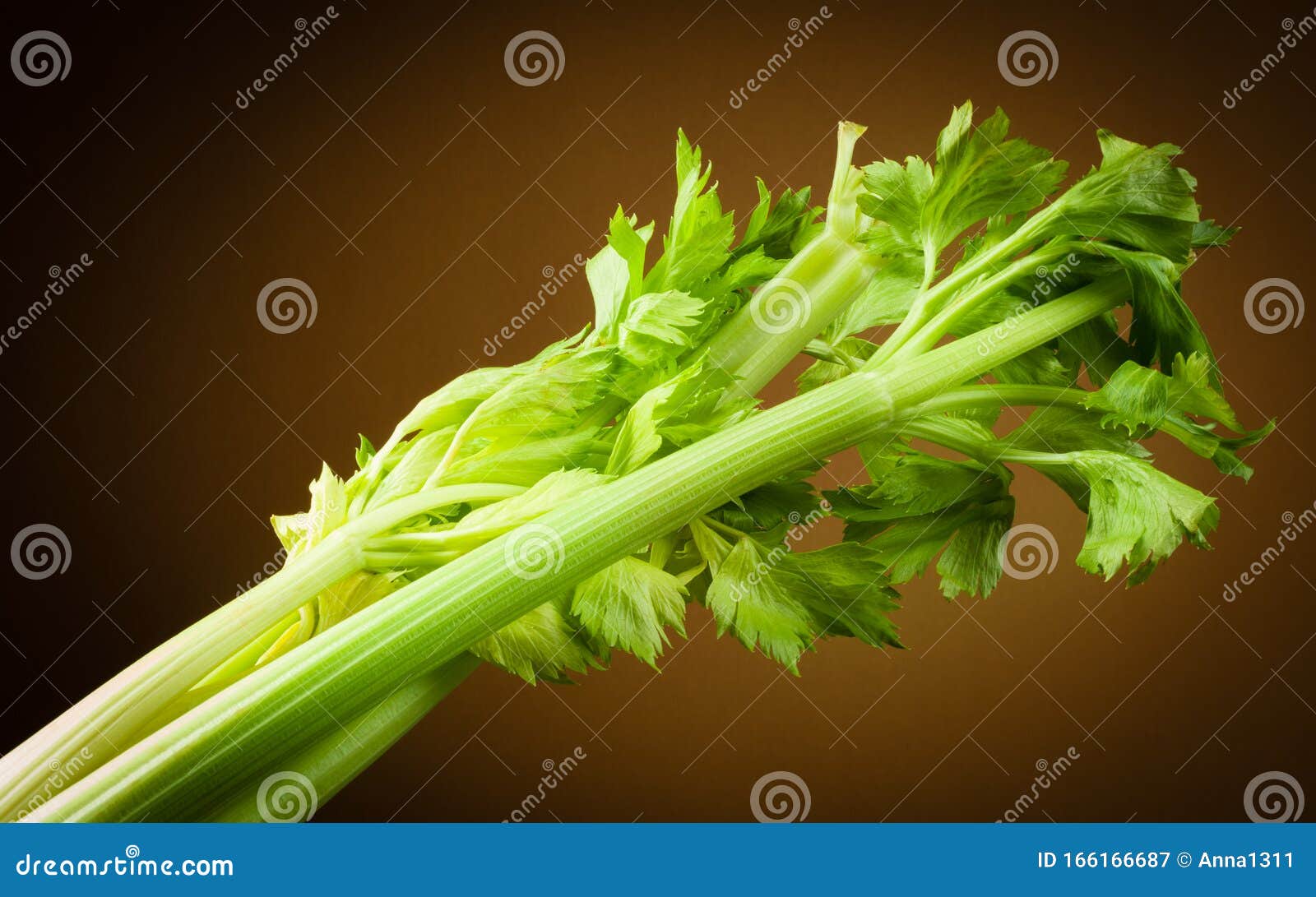 Organic Celery. Stalk with Leaves Stock Image Image of fresh, table