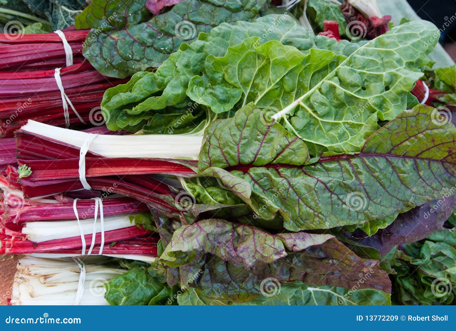 Organic Chard stock image. Image of root, farmer, eating 13772209