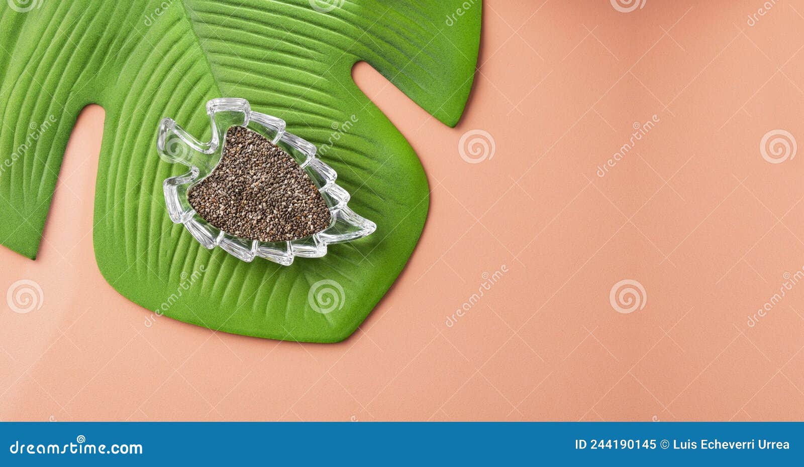 organic chia seeds in bowl - salvia hispÃÂ¡nica