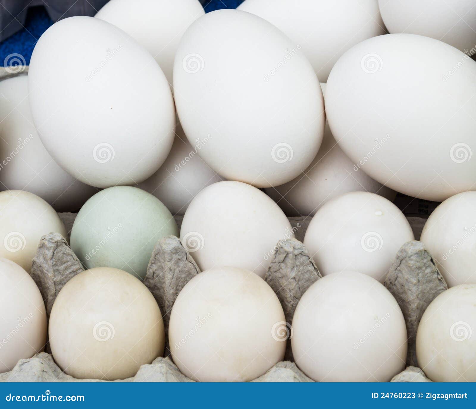 Organic Chicken Eggs Different Sizes Stock Image Image of health, fresh 24760223