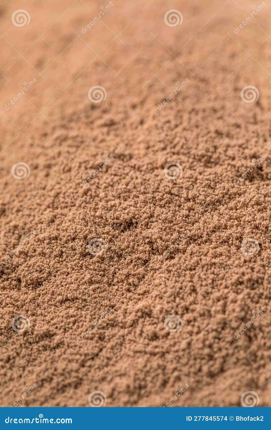 Organic Chocolate Whey Protein Powder Stock Photo Image of workout