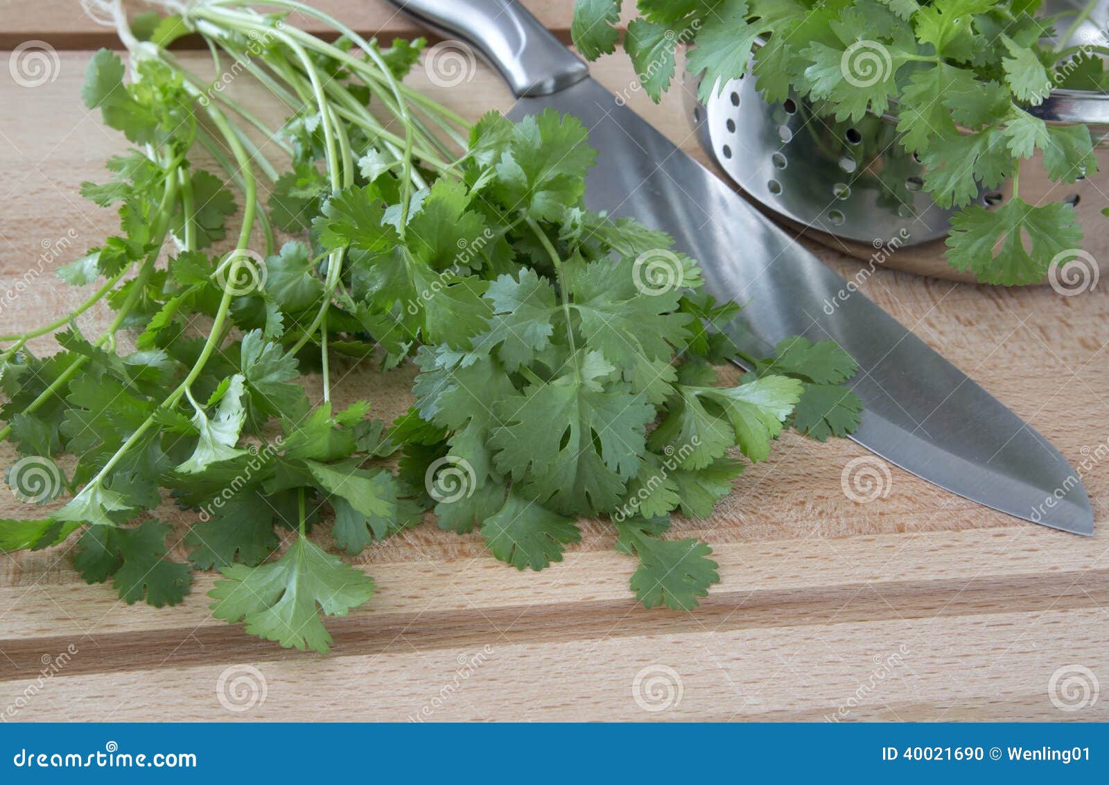 Organic Cilantro on Chopping Stock Photo Image of healthy, knife