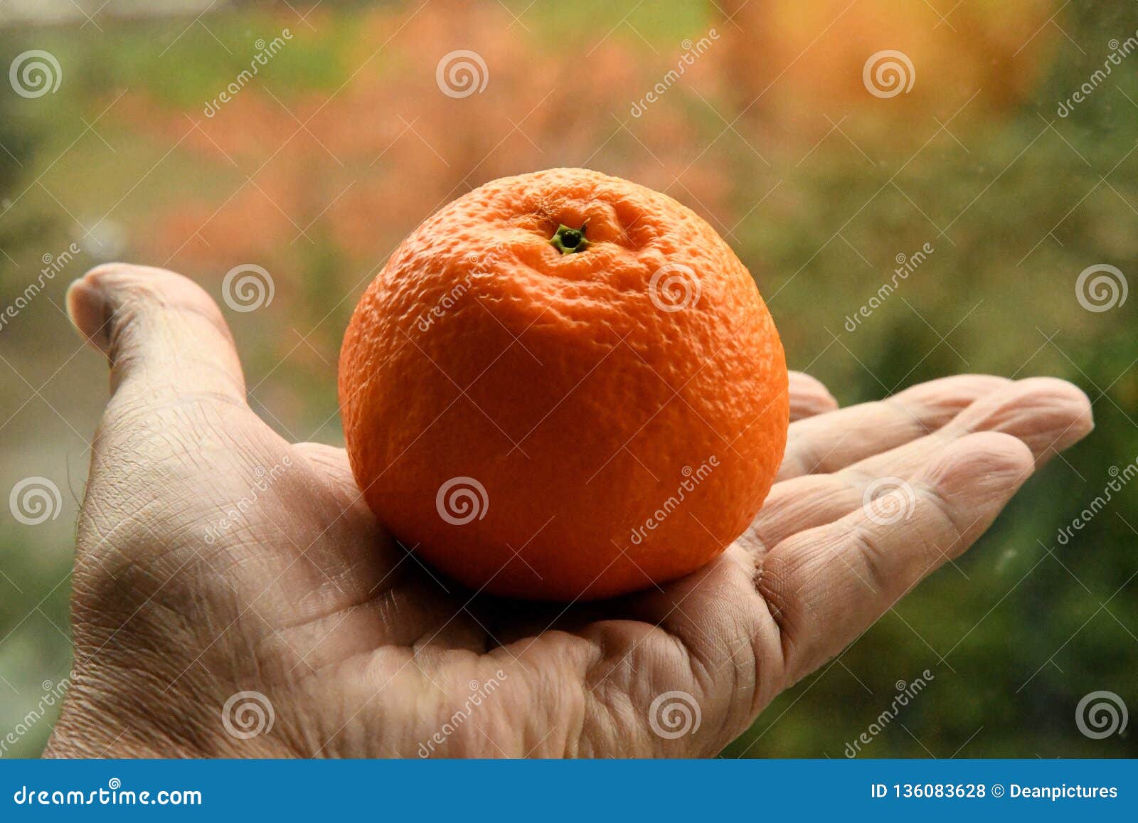 organic clementines organic clementines